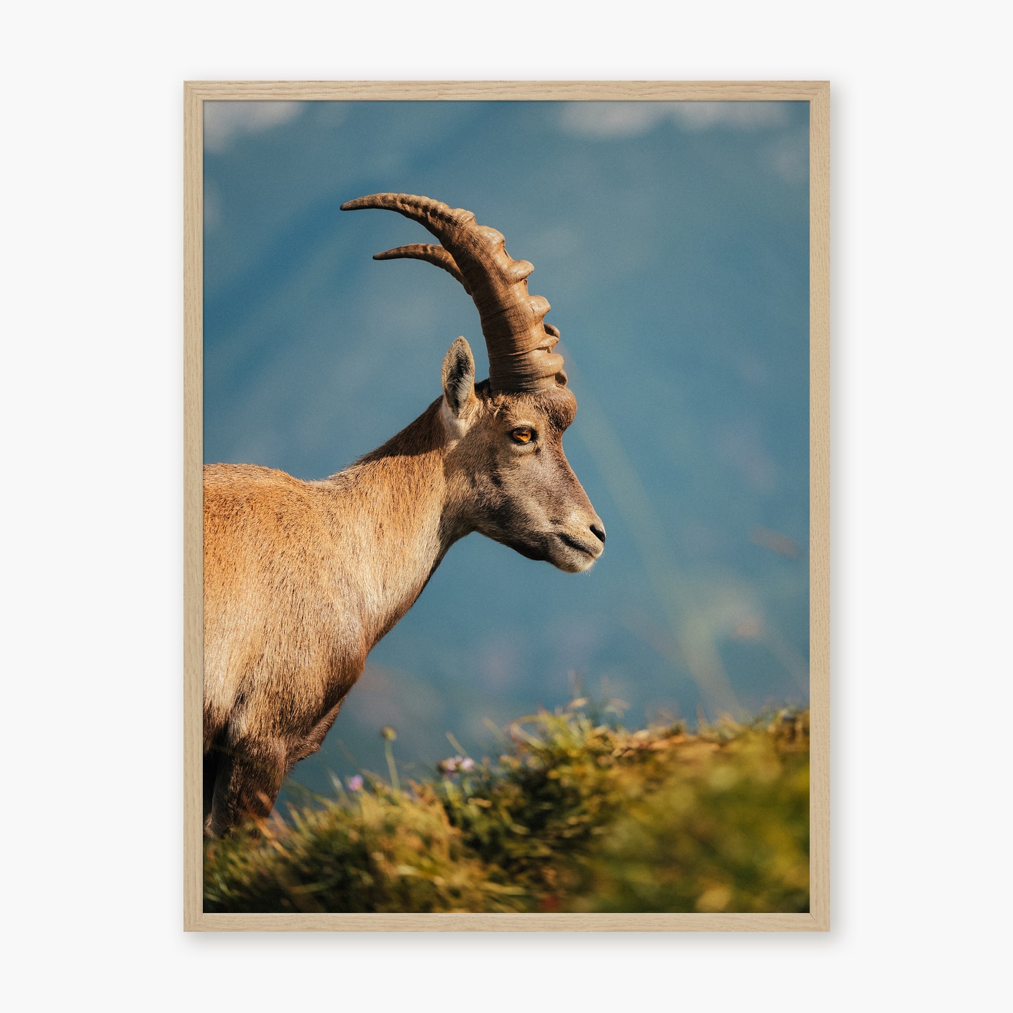 La Rencontre