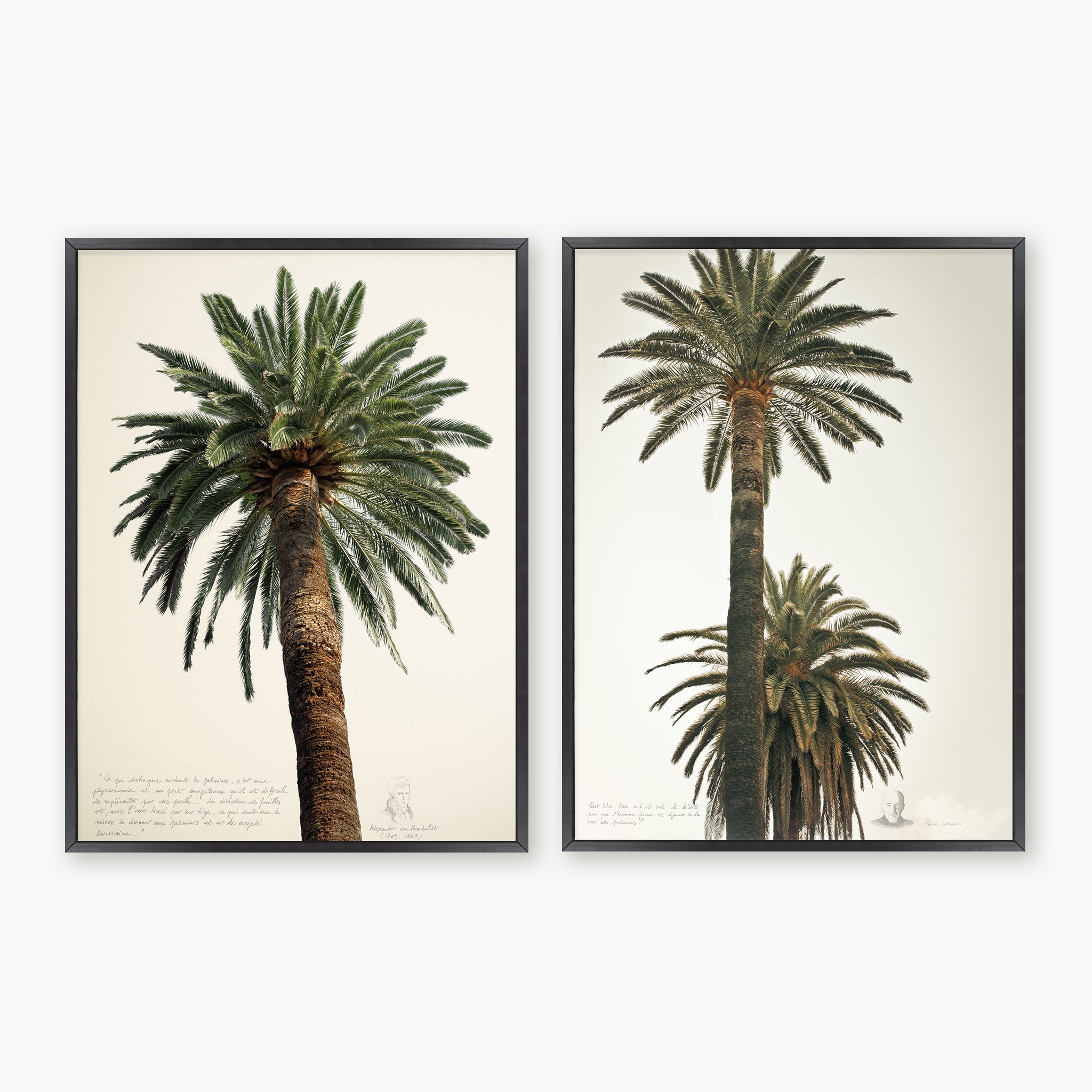 Diptyque - Grands palmiers