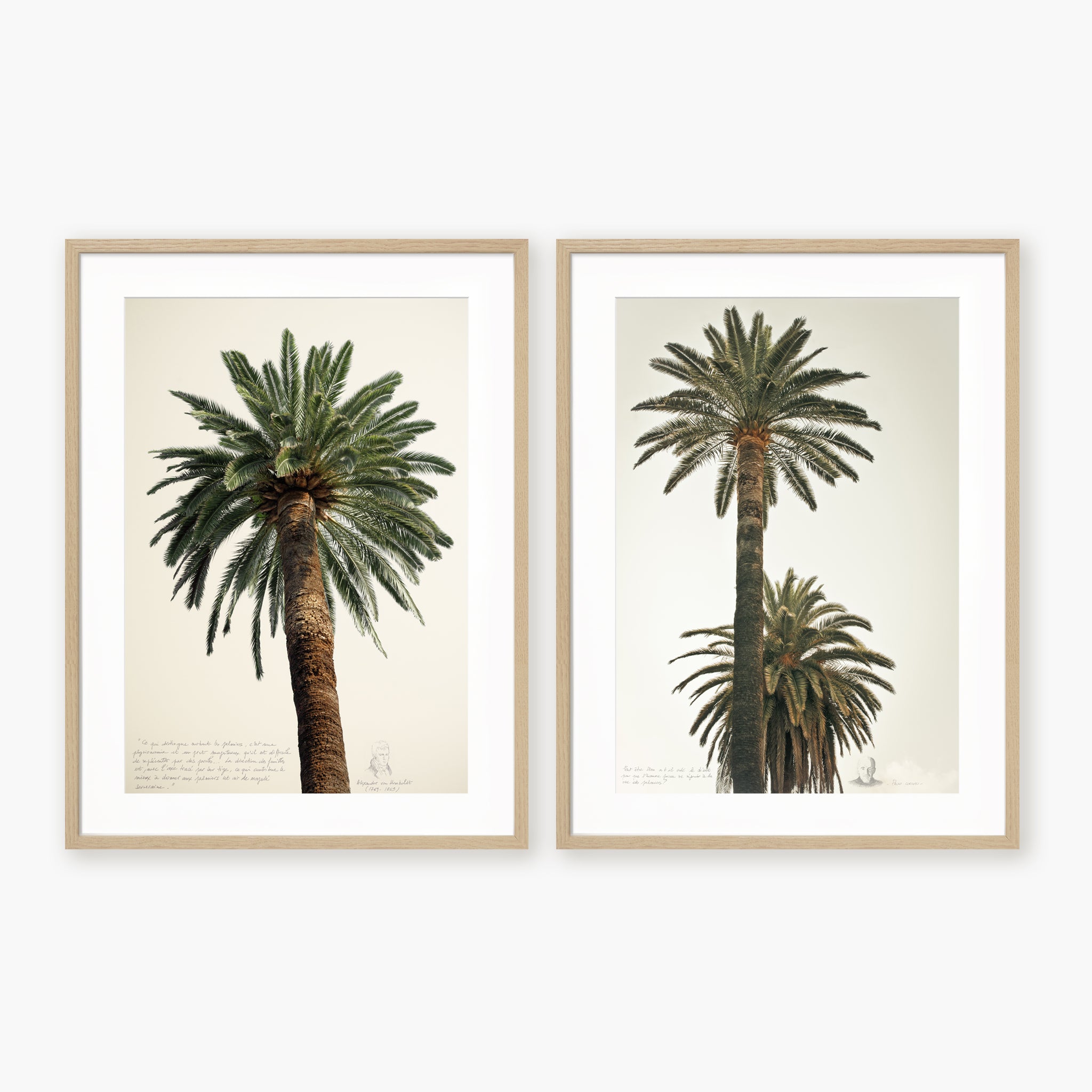 Diptyque - Grands palmiers