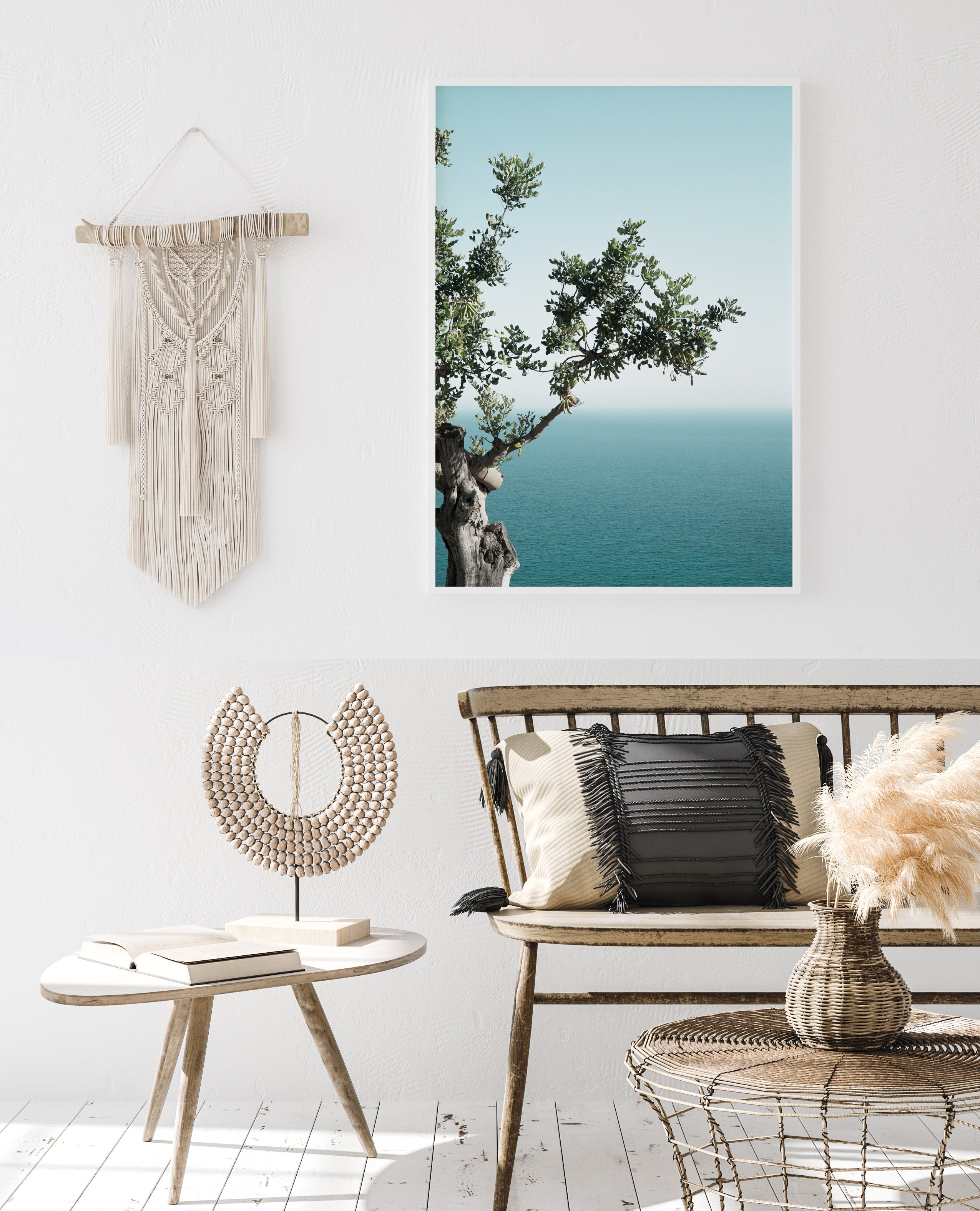 Seaside Oak