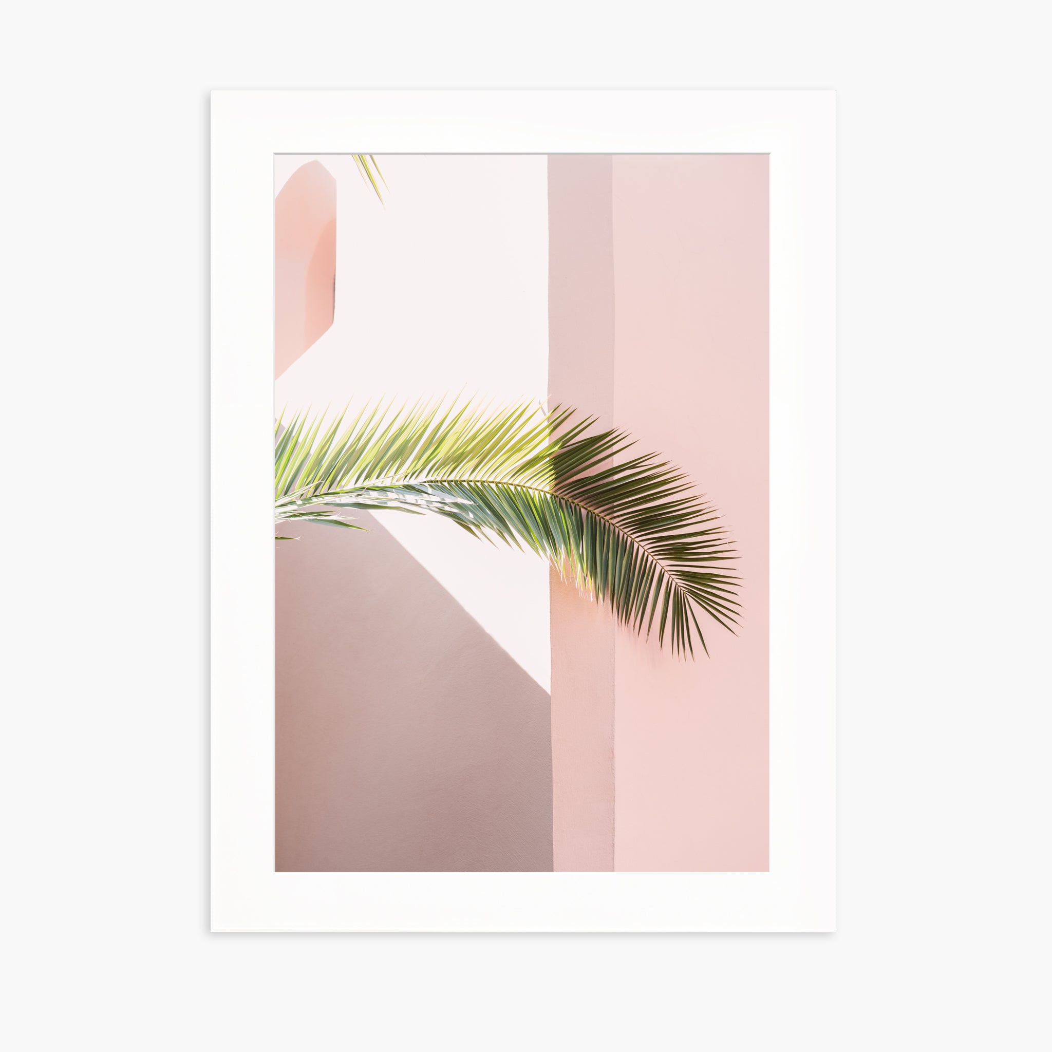 Pink palm