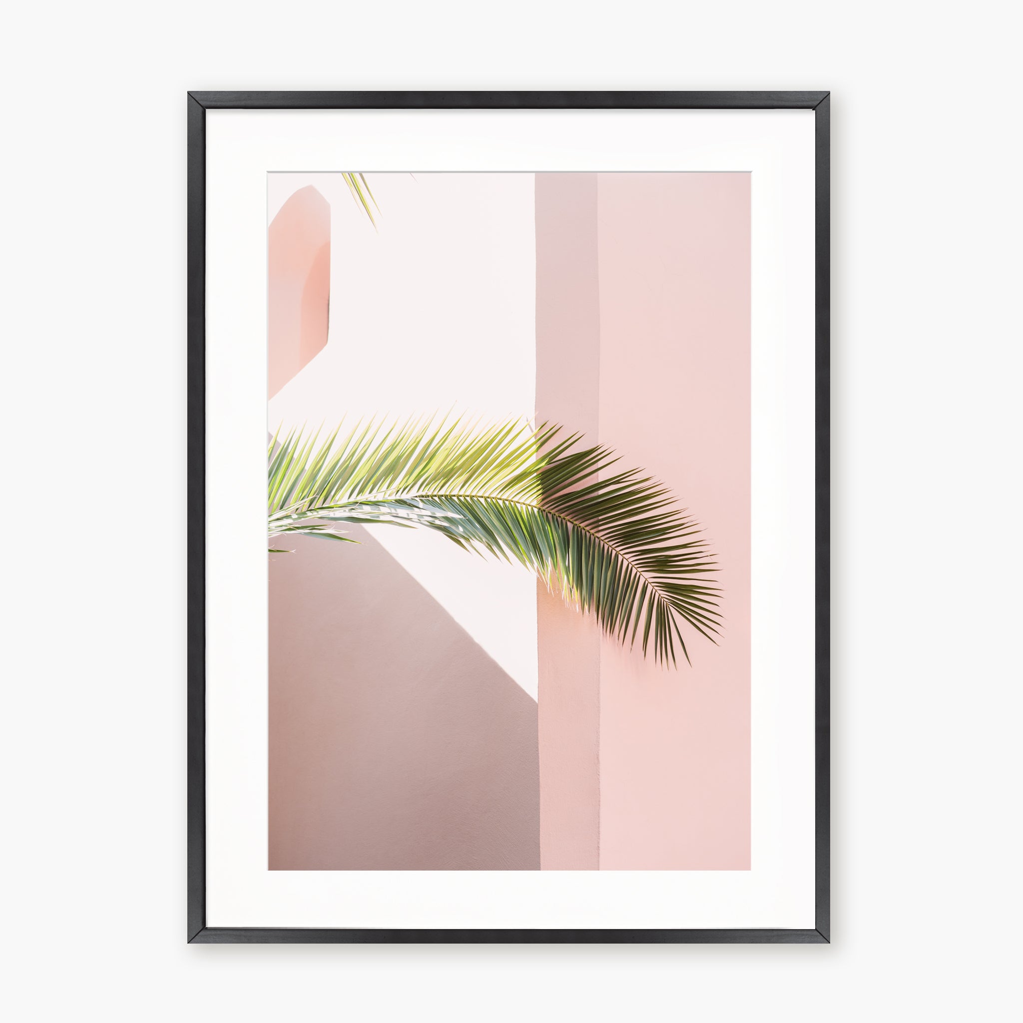 Pink palm