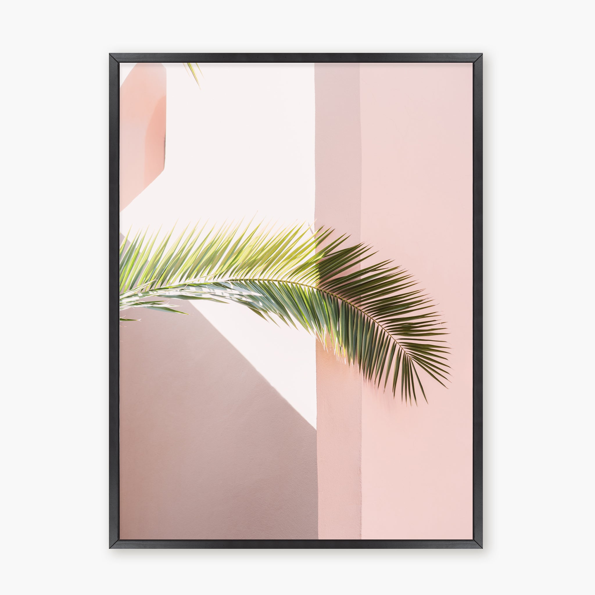 Pink palm