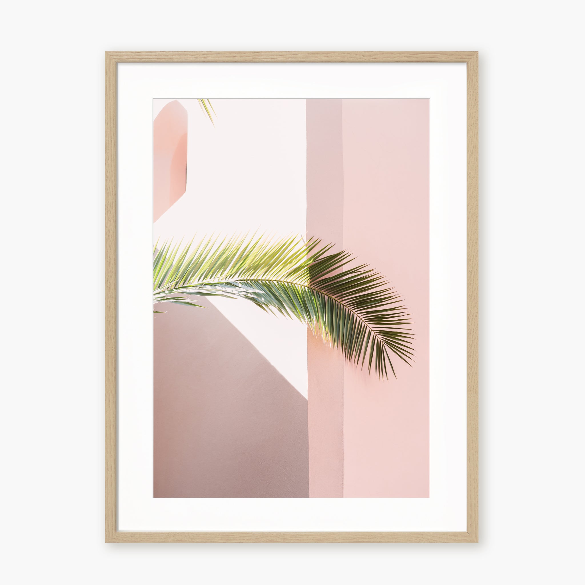 Pink palm