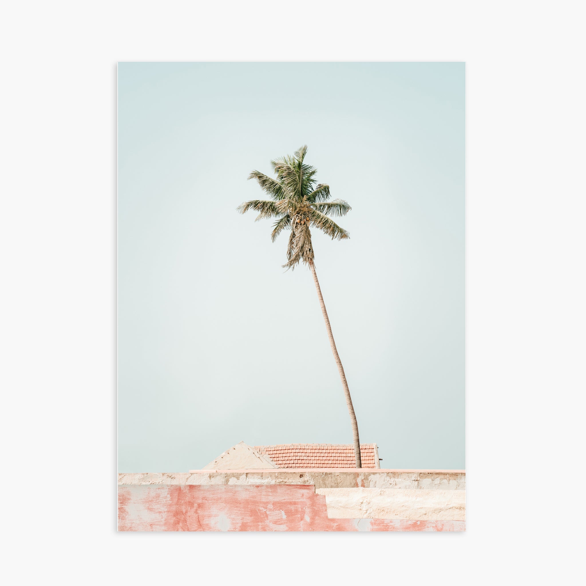 Colors of Senegal n.5