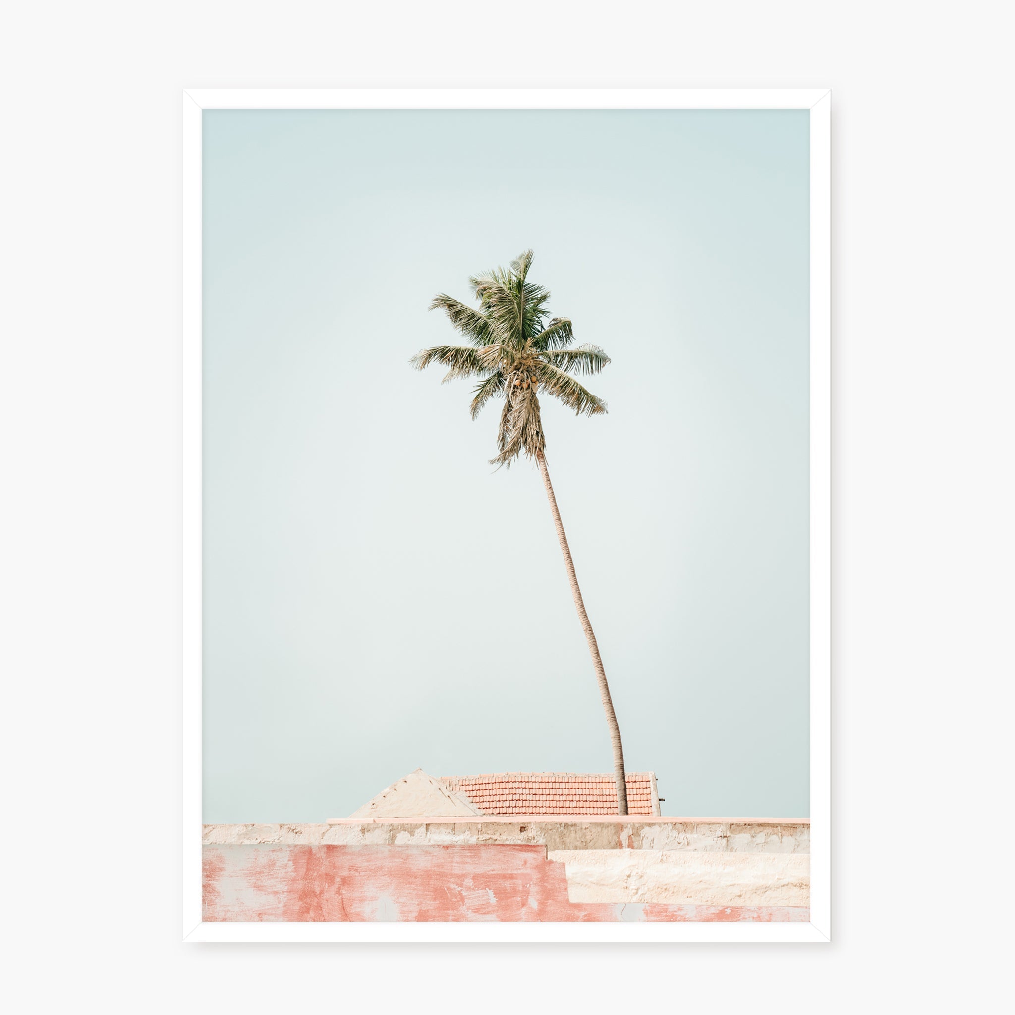 Colors of Senegal n.5