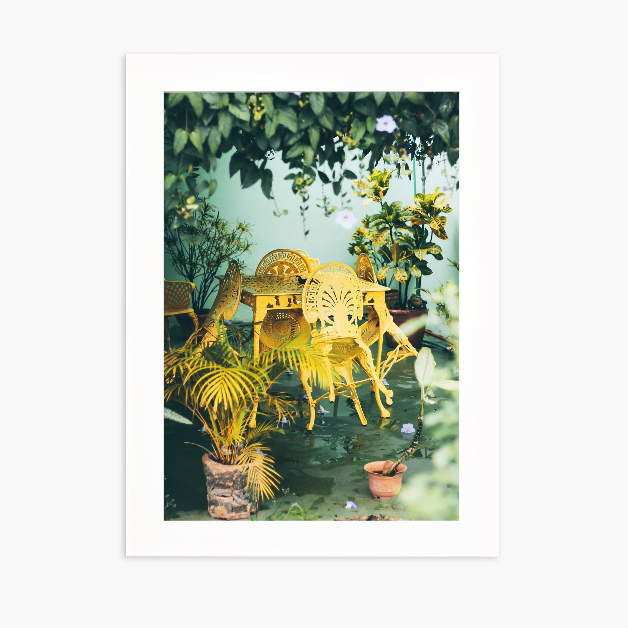 Colors of Cuba n.2