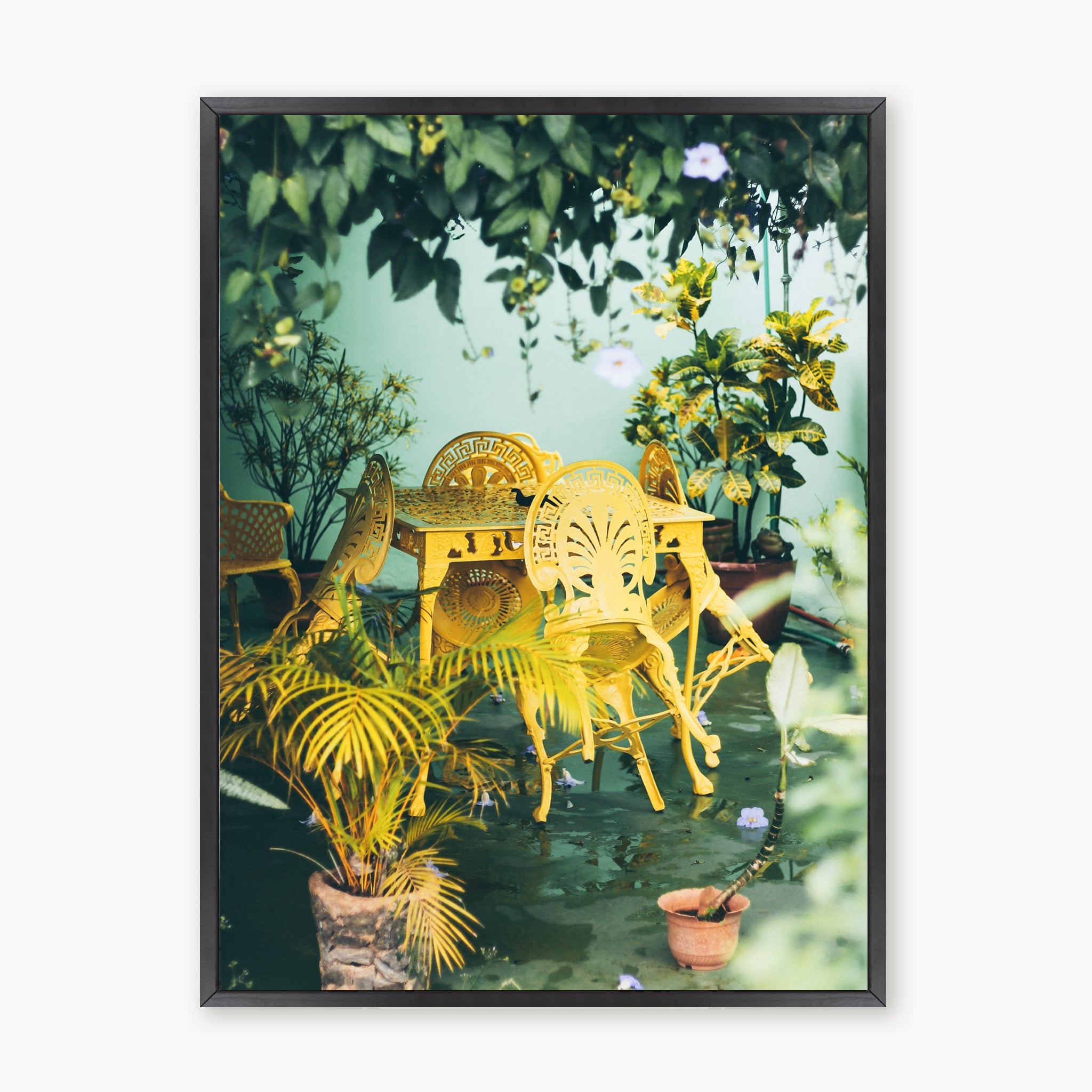 Colors of Cuba n.2