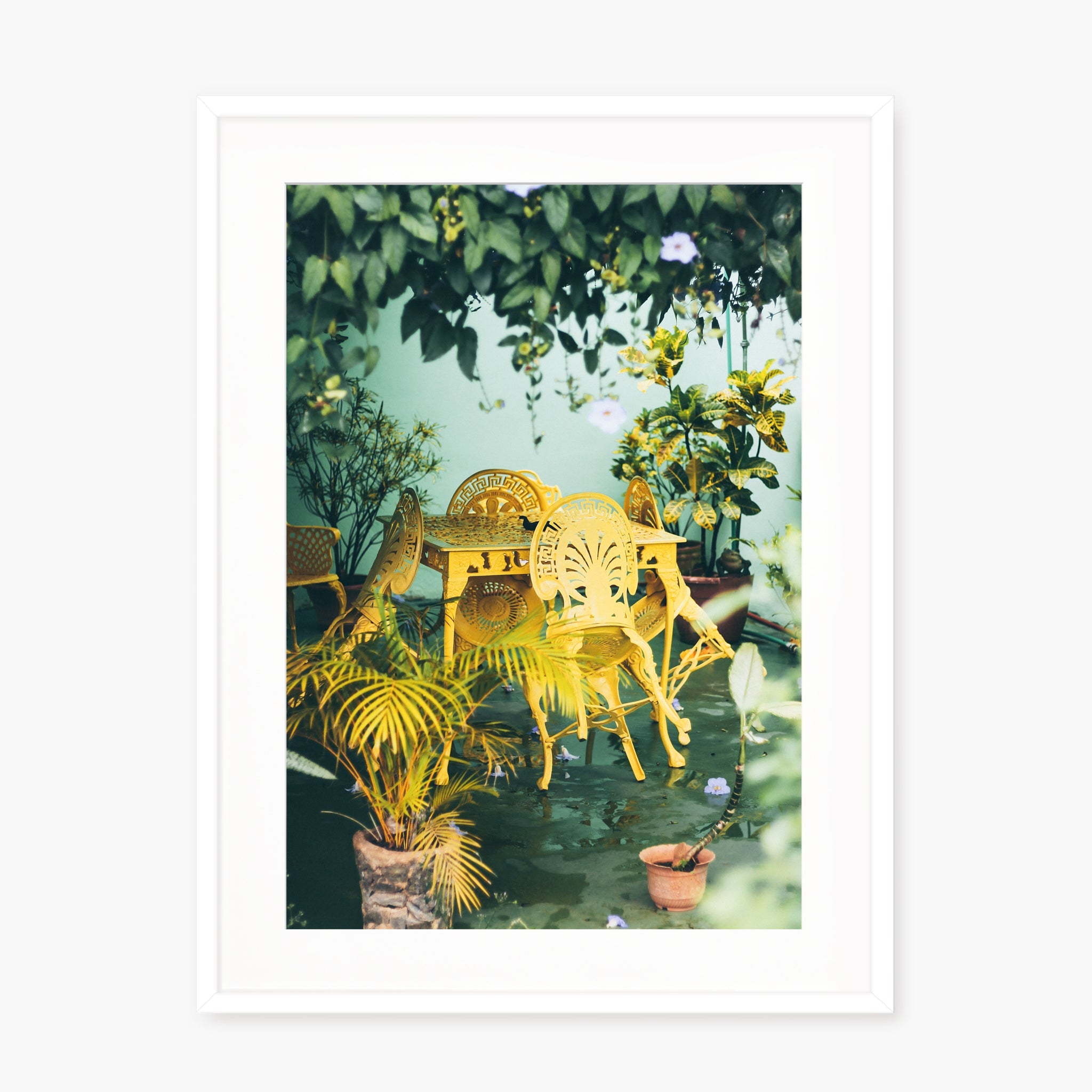 Colors of Cuba n.2