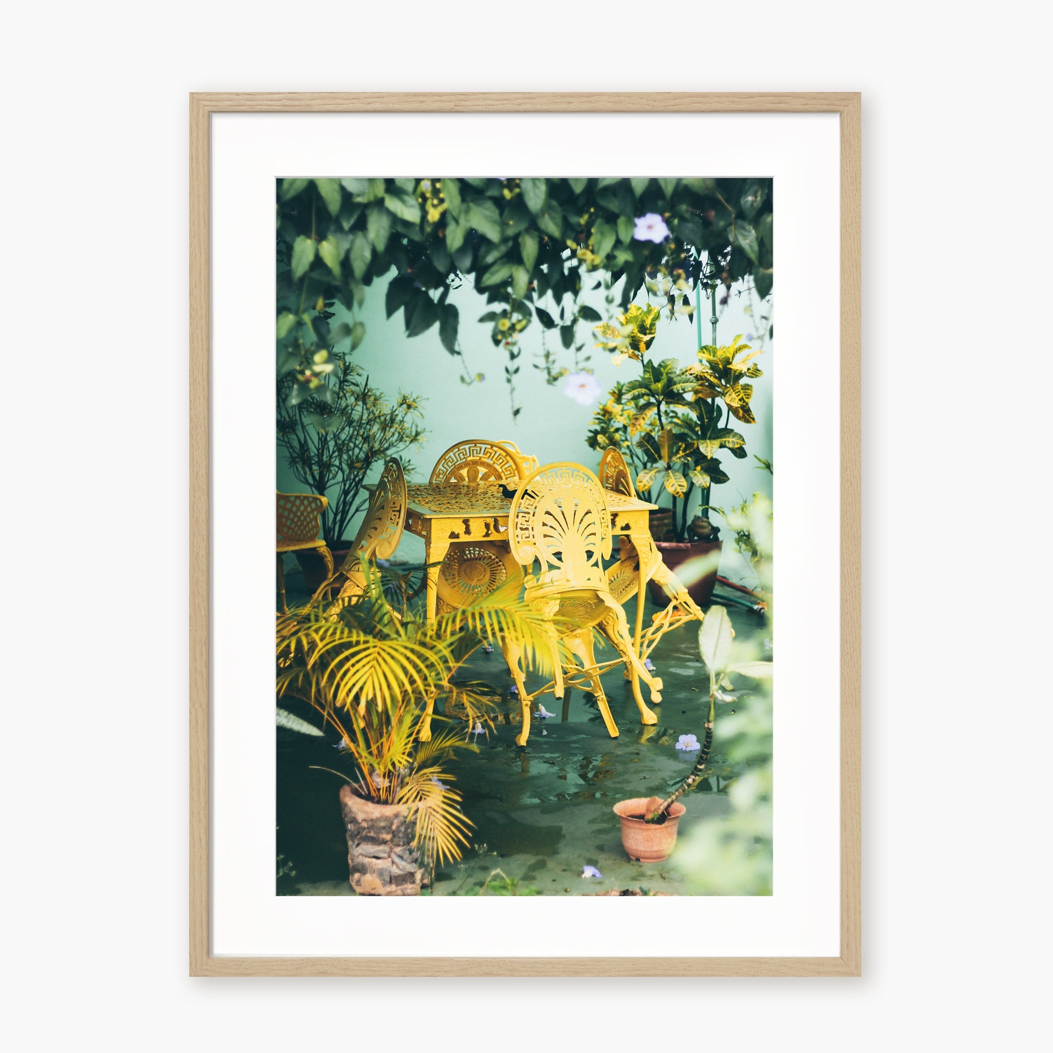 Colors of Cuba n.2