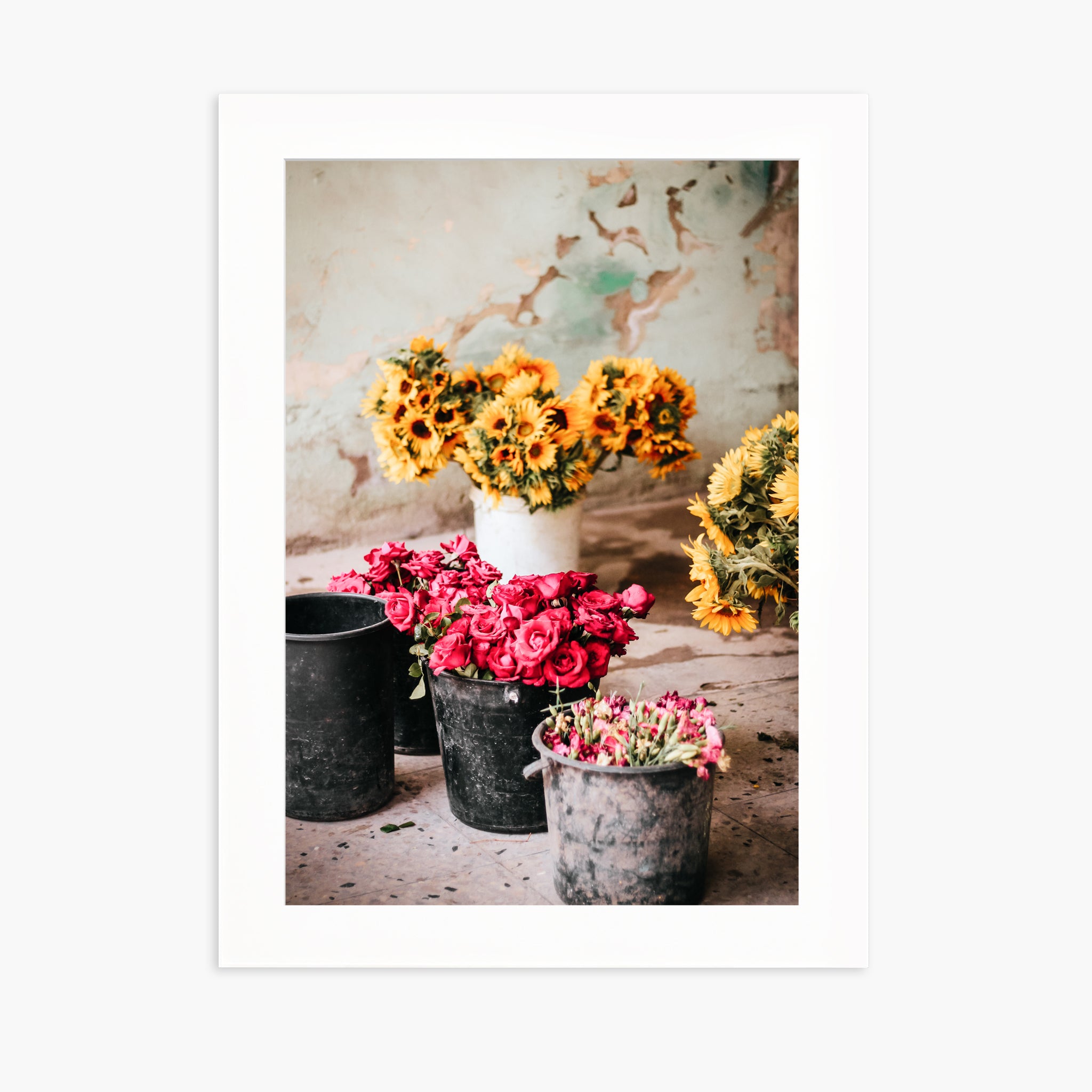 Colors of Cuba n.1