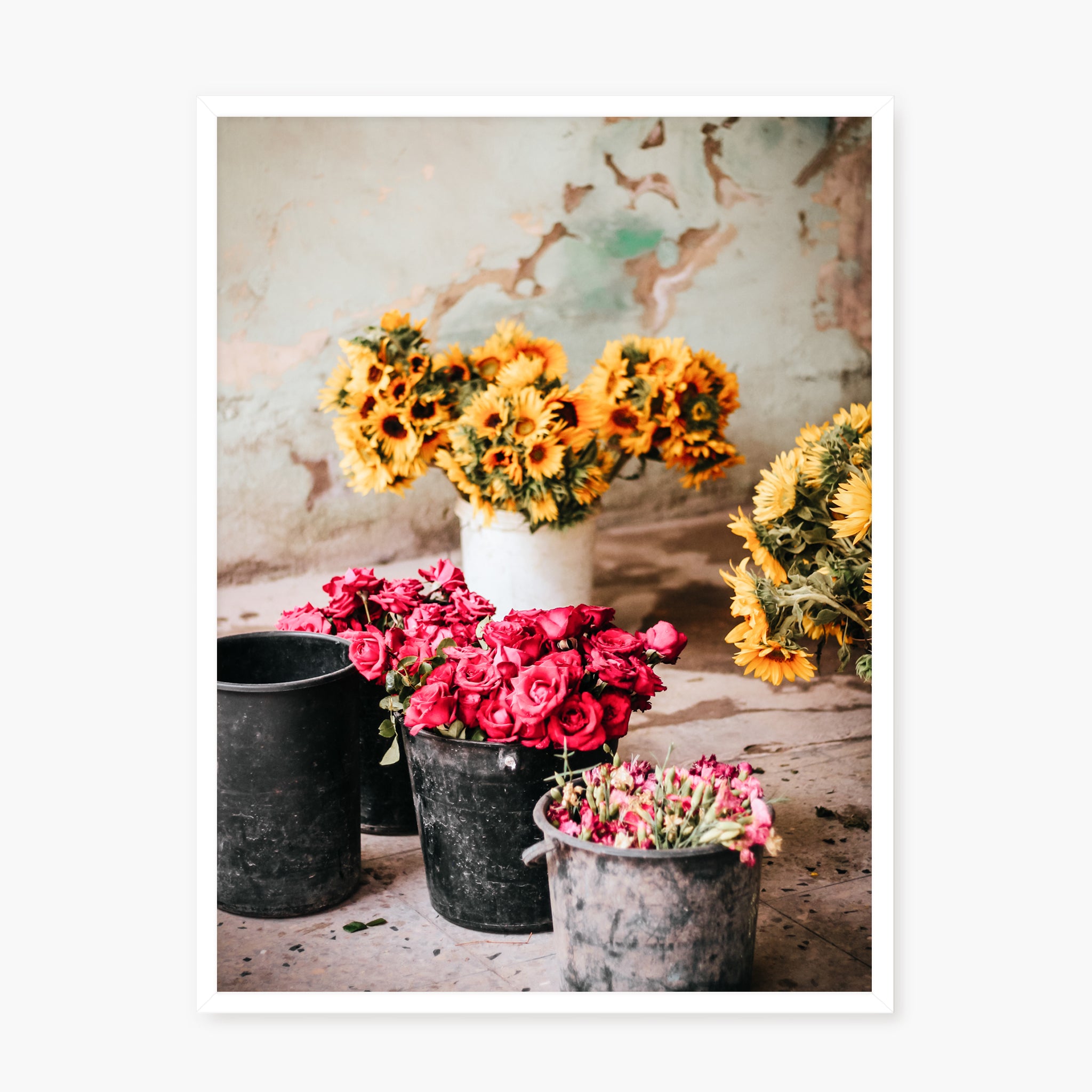 Colors of Cuba n.1