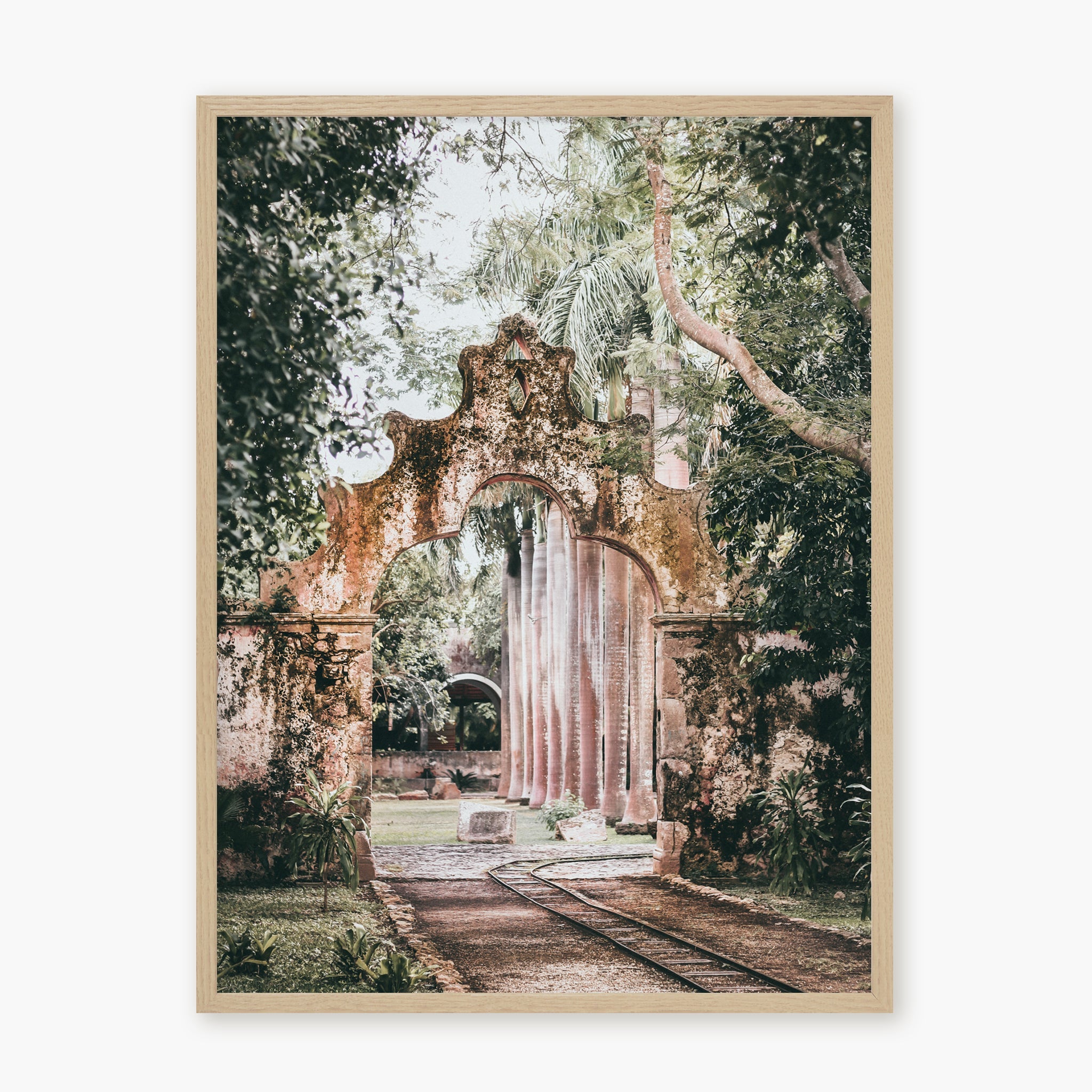 Hacienda San Pedro I