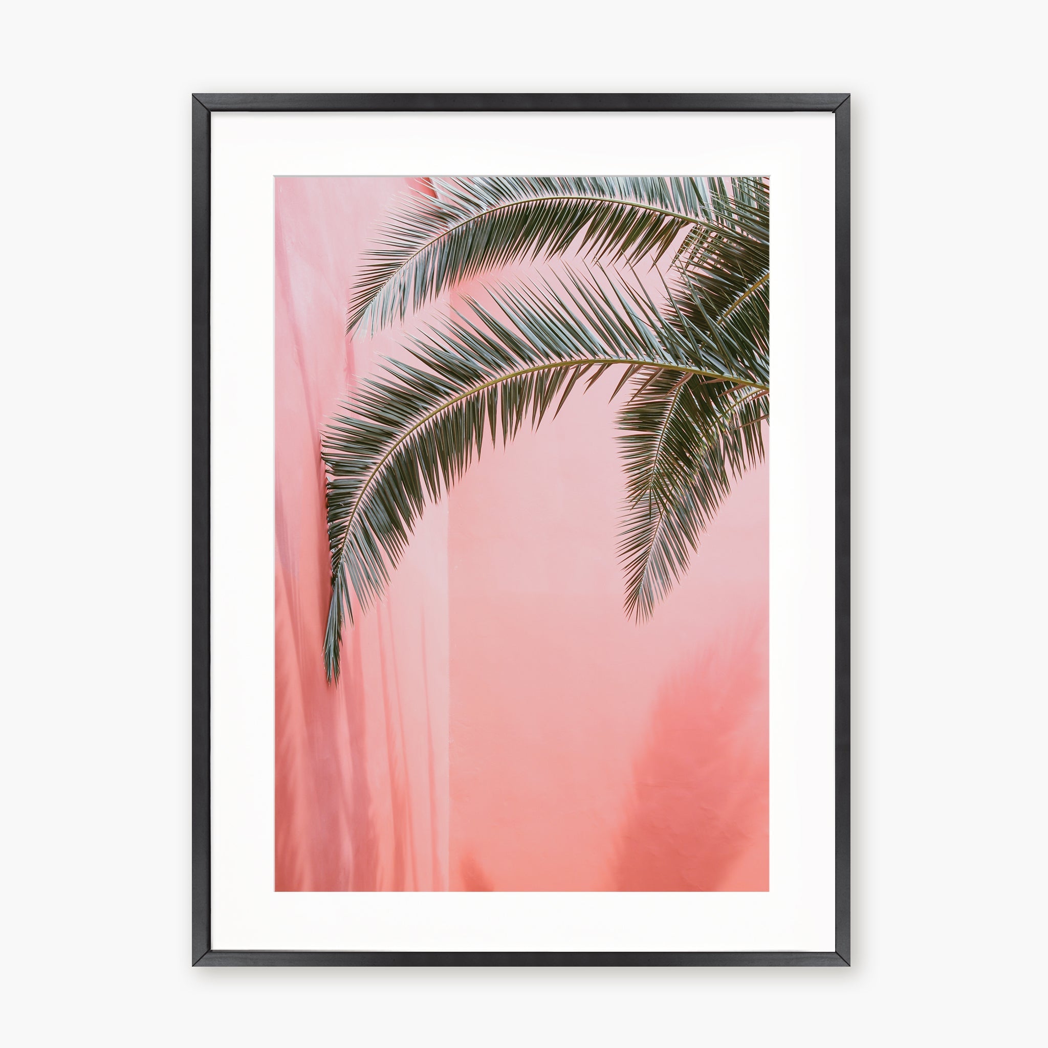 Palm on pink n.2