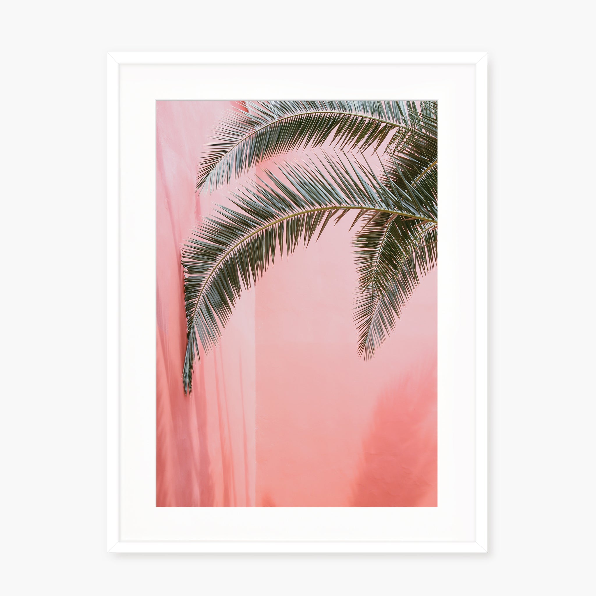 Palm on pink n.2