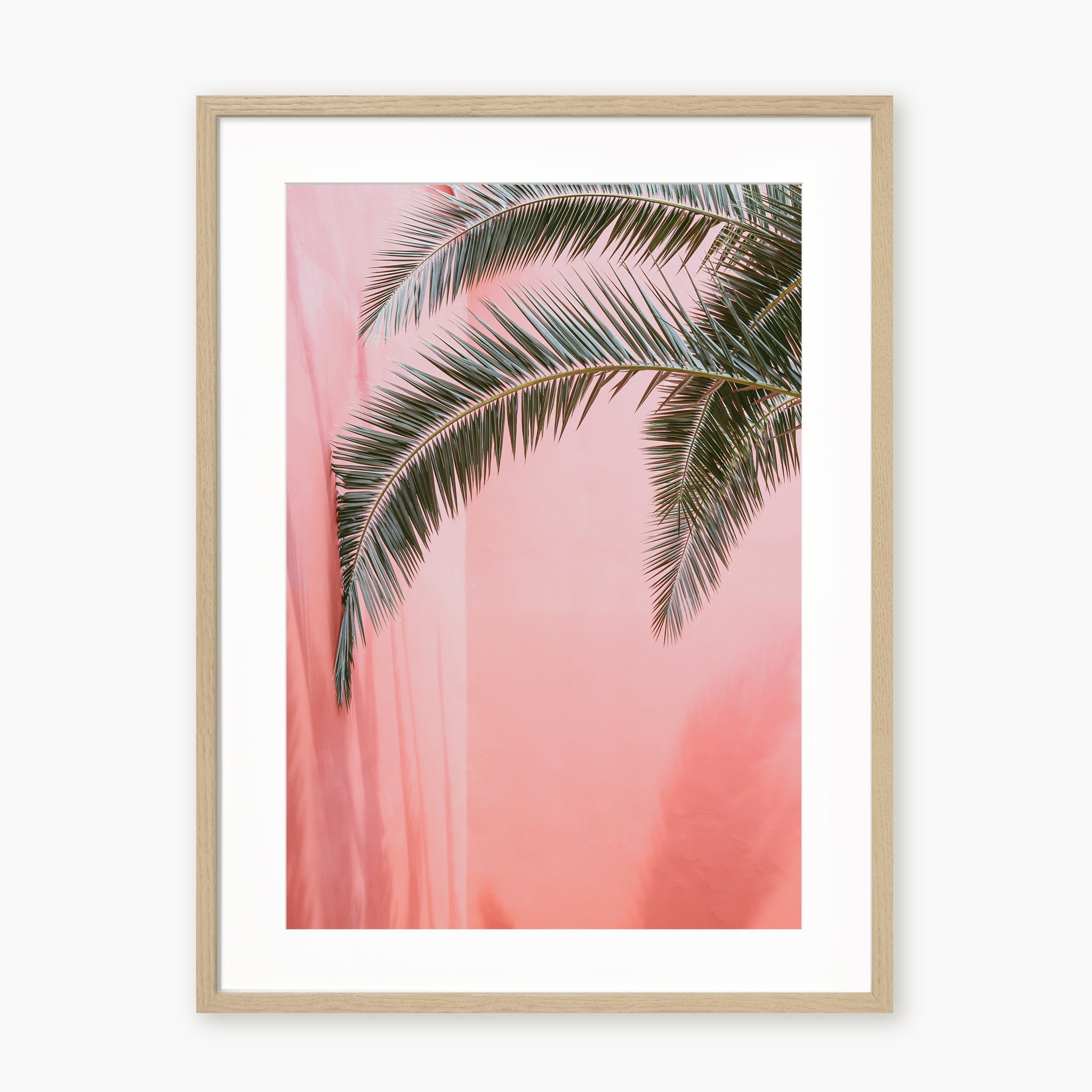 Palm on pink n.2