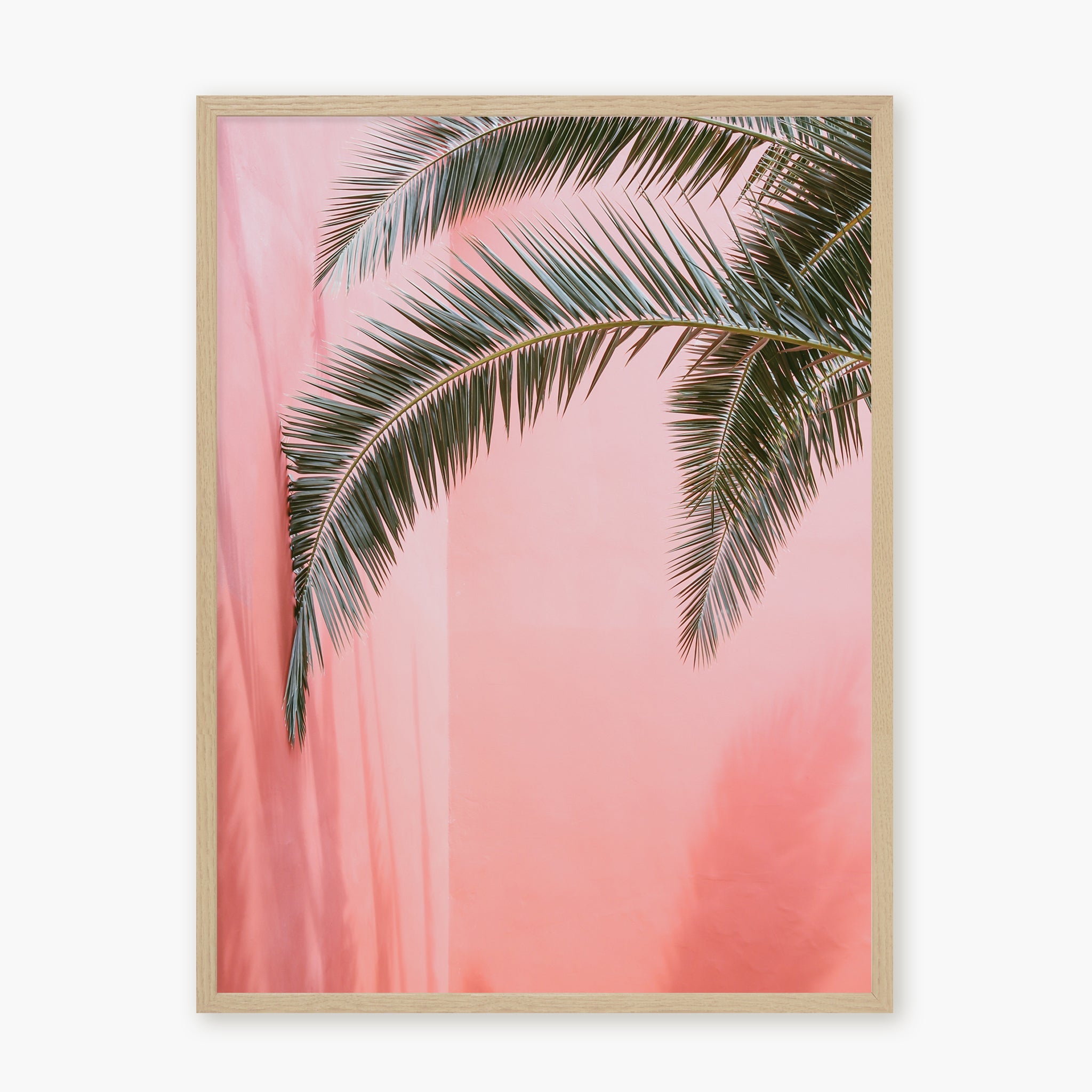 Palm on pink n.2