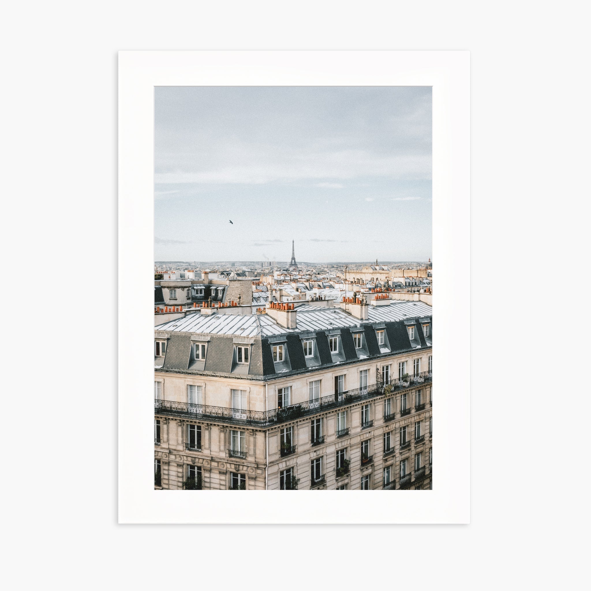 Room with a View
