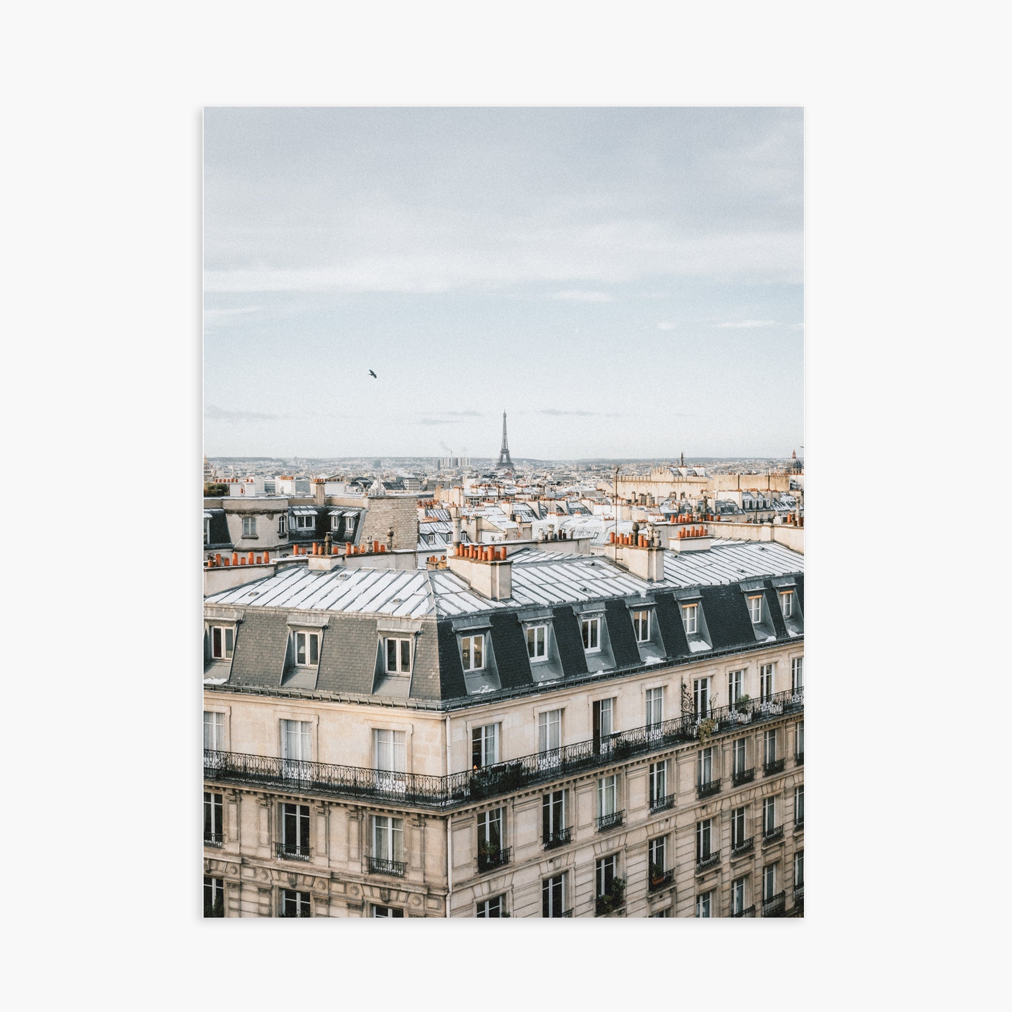 Room with a View