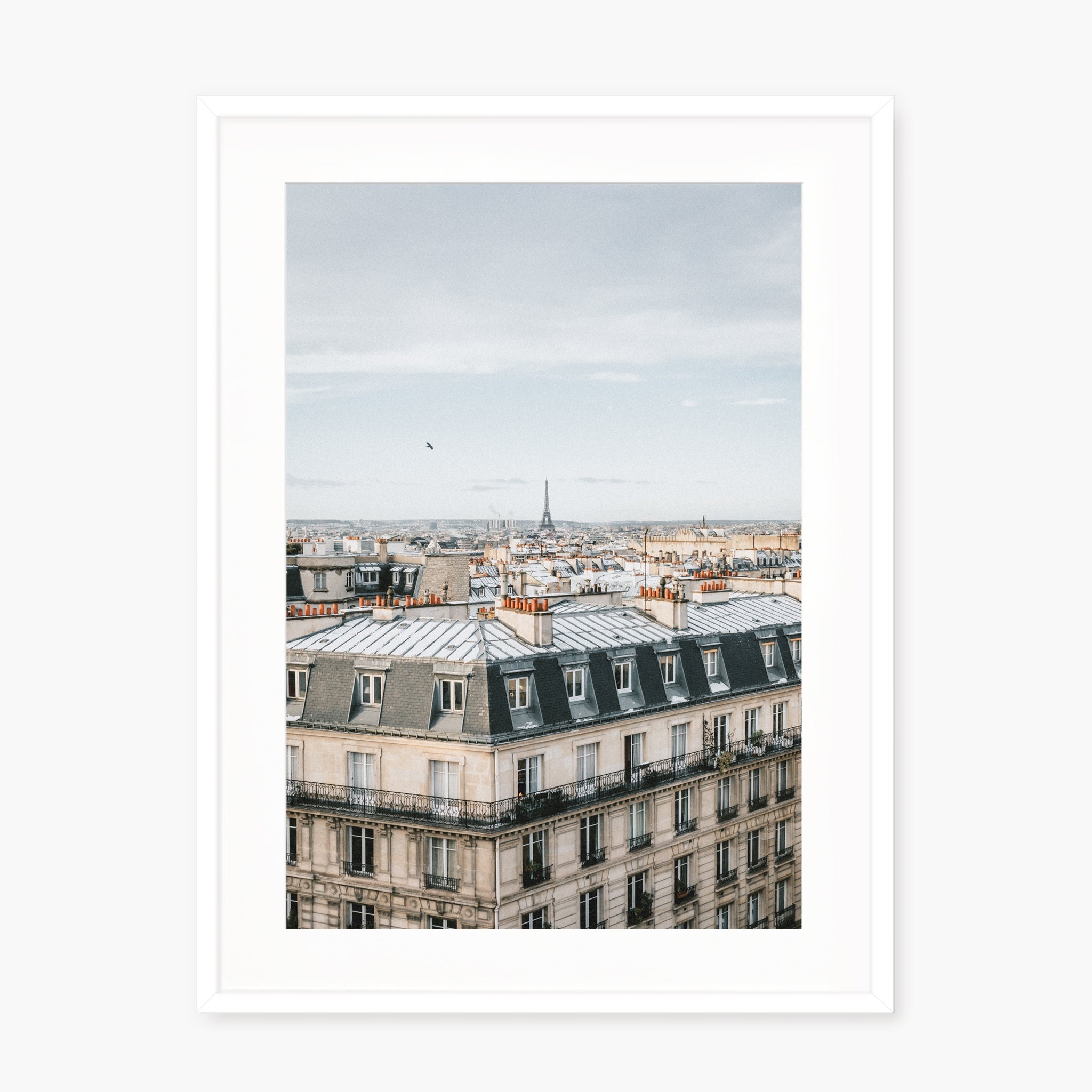 Room with a View