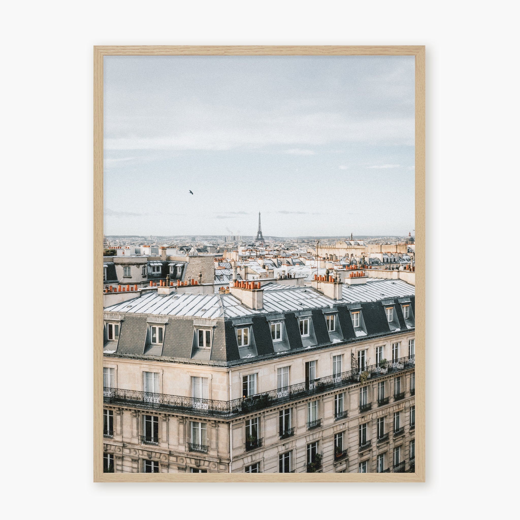 Room with a View