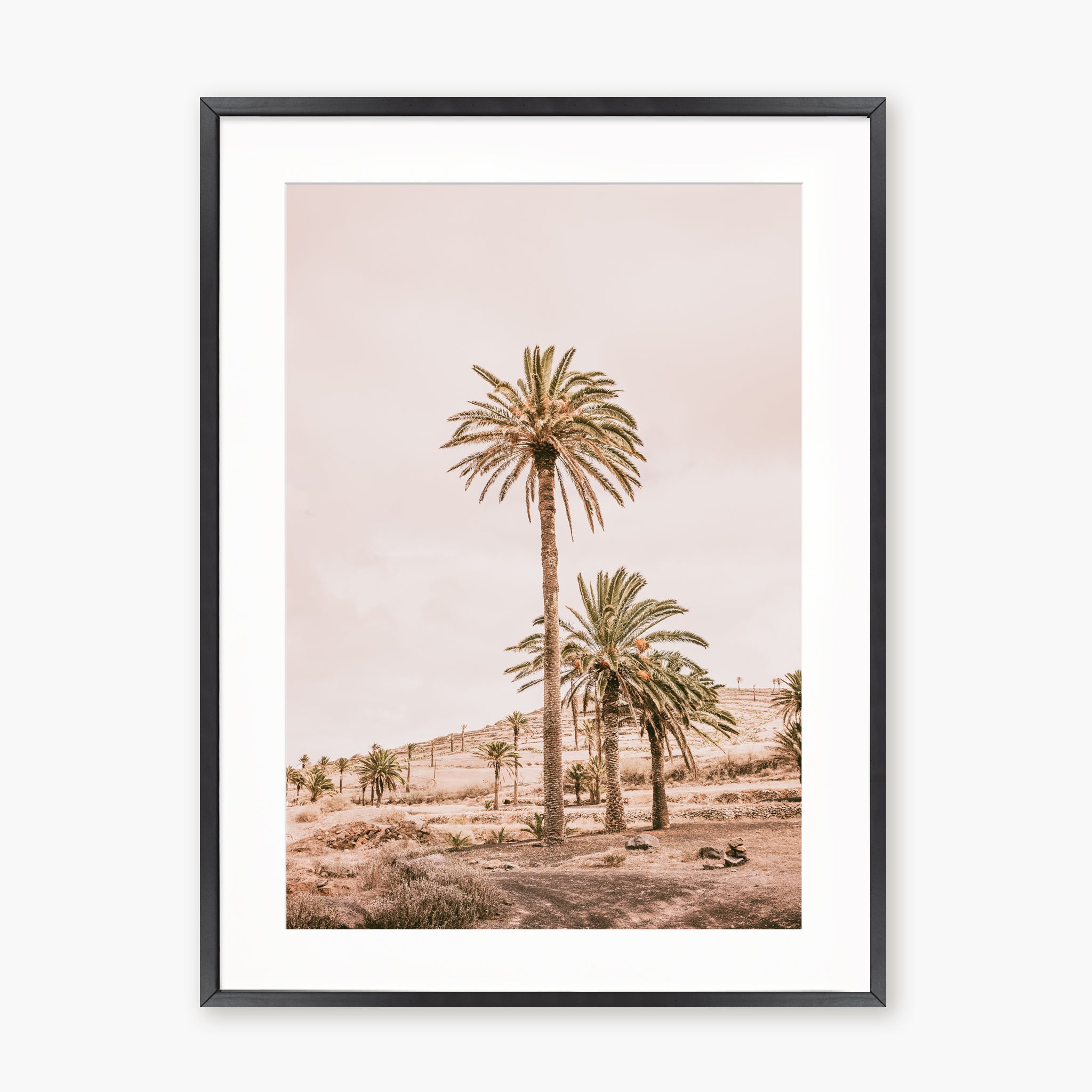 Pink Oasis