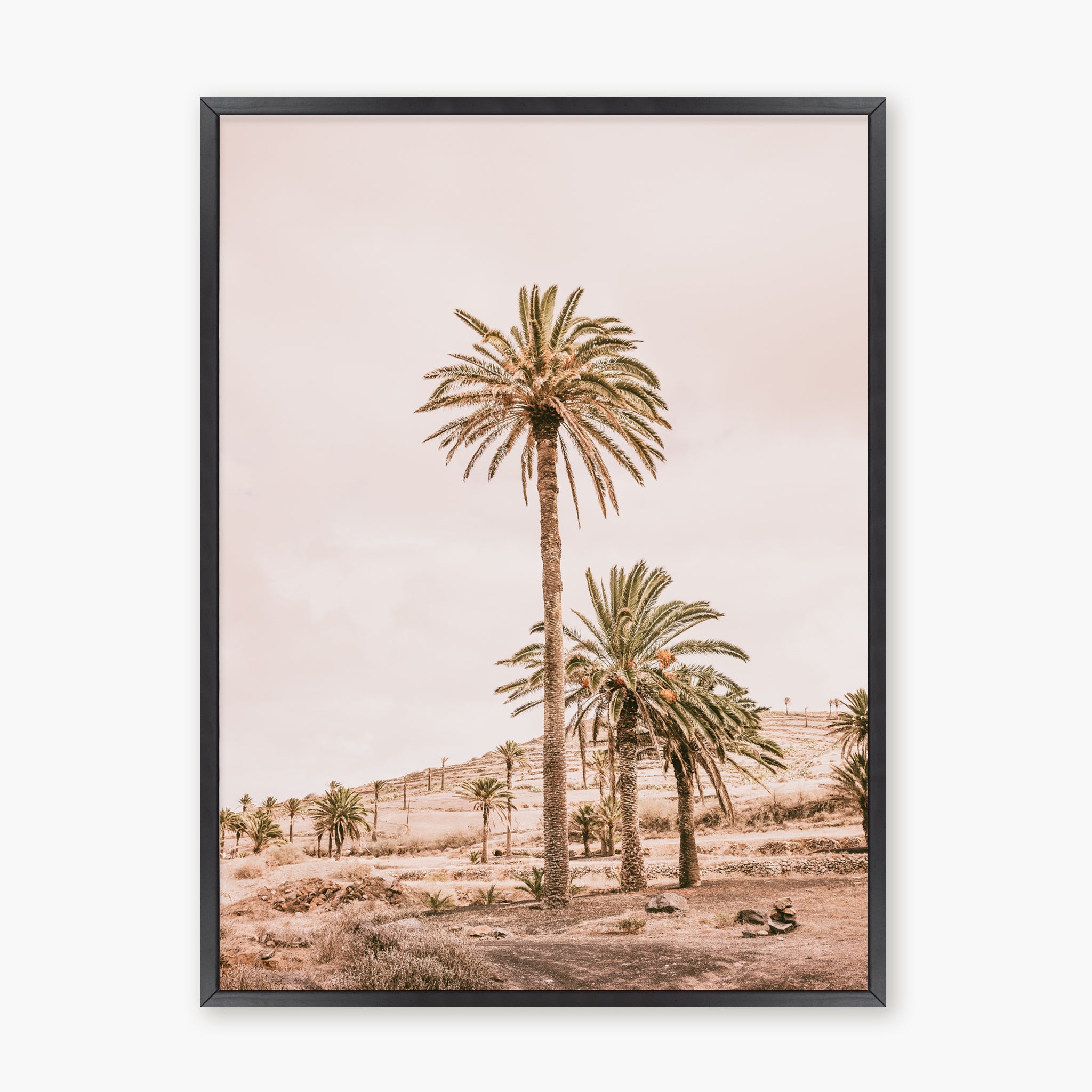 Pink Oasis