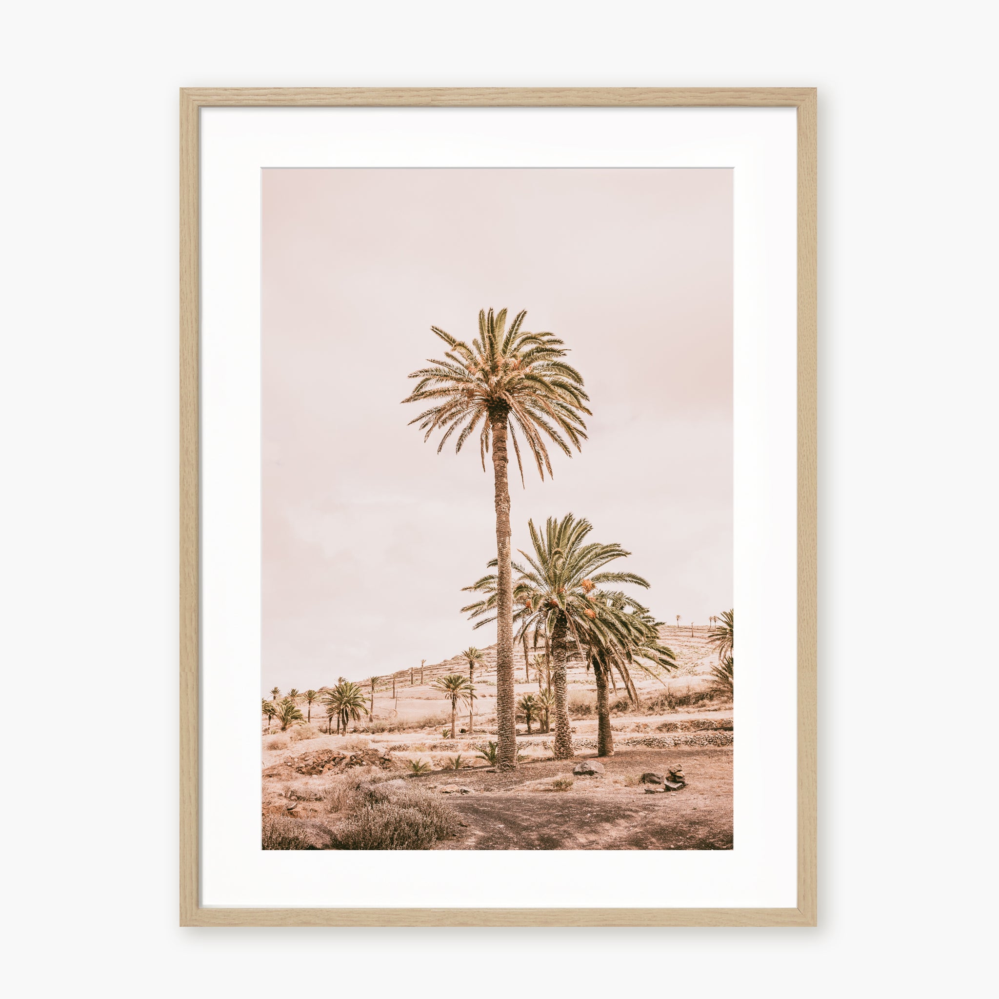 Pink Oasis