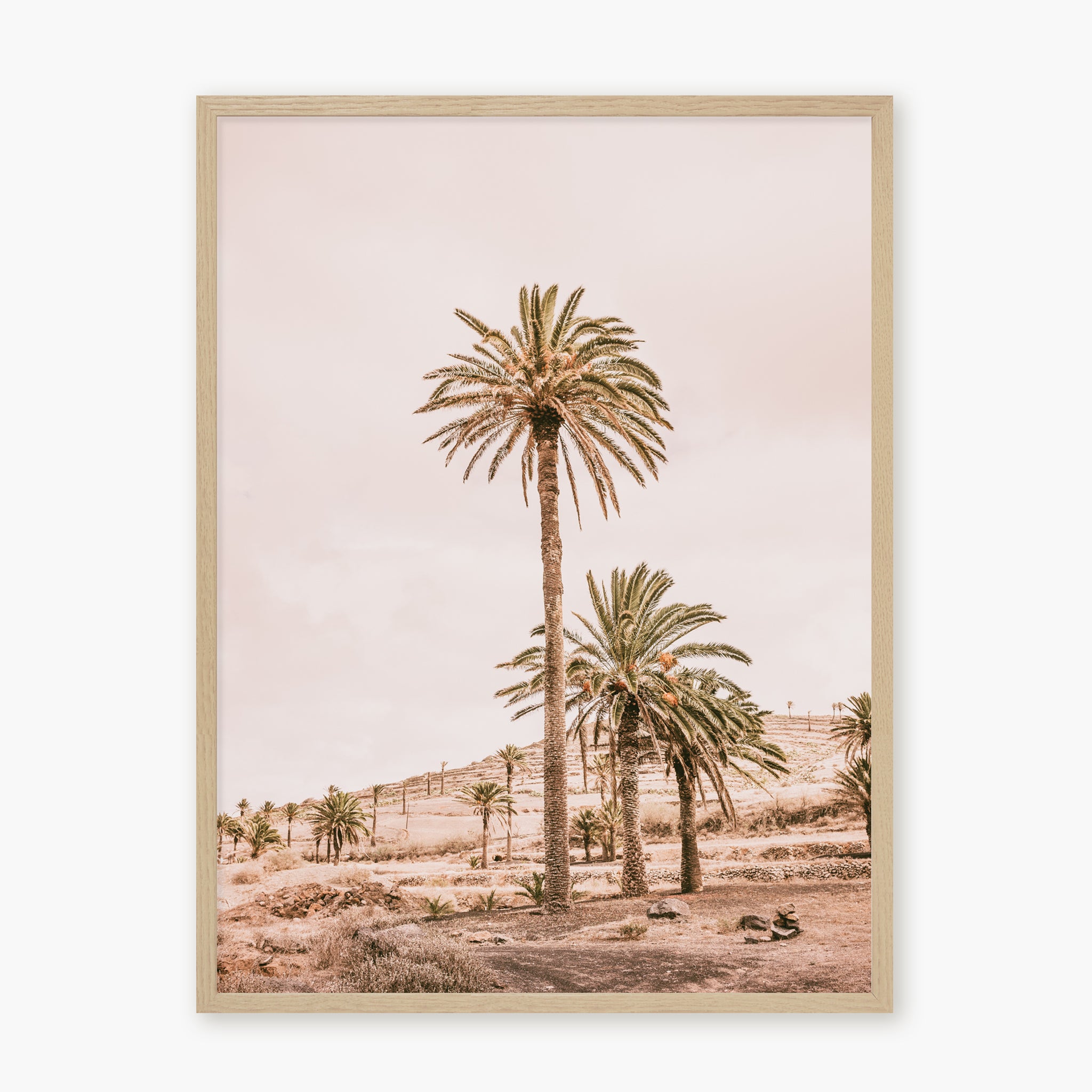 Pink Oasis