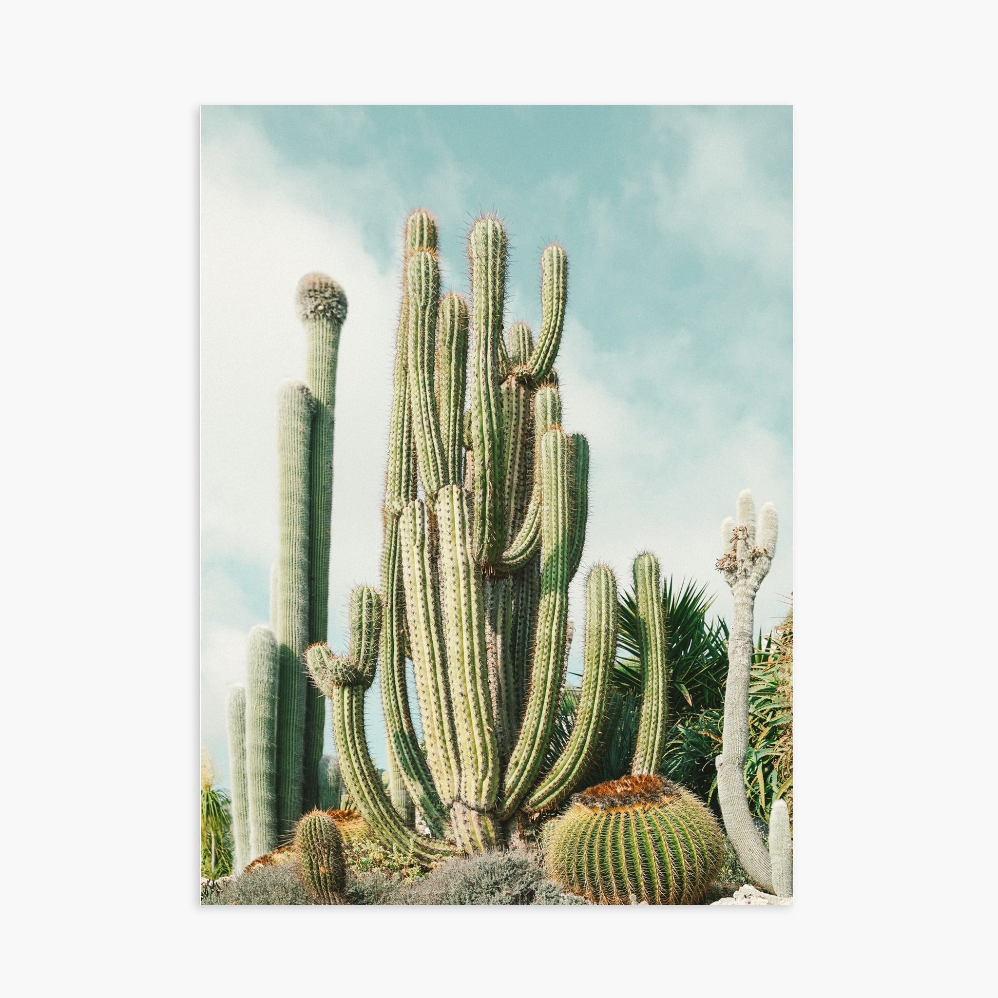 Jardin Exotique