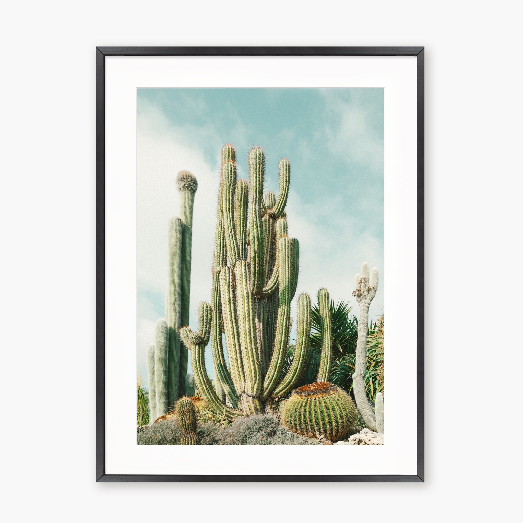 Jardin Exotique