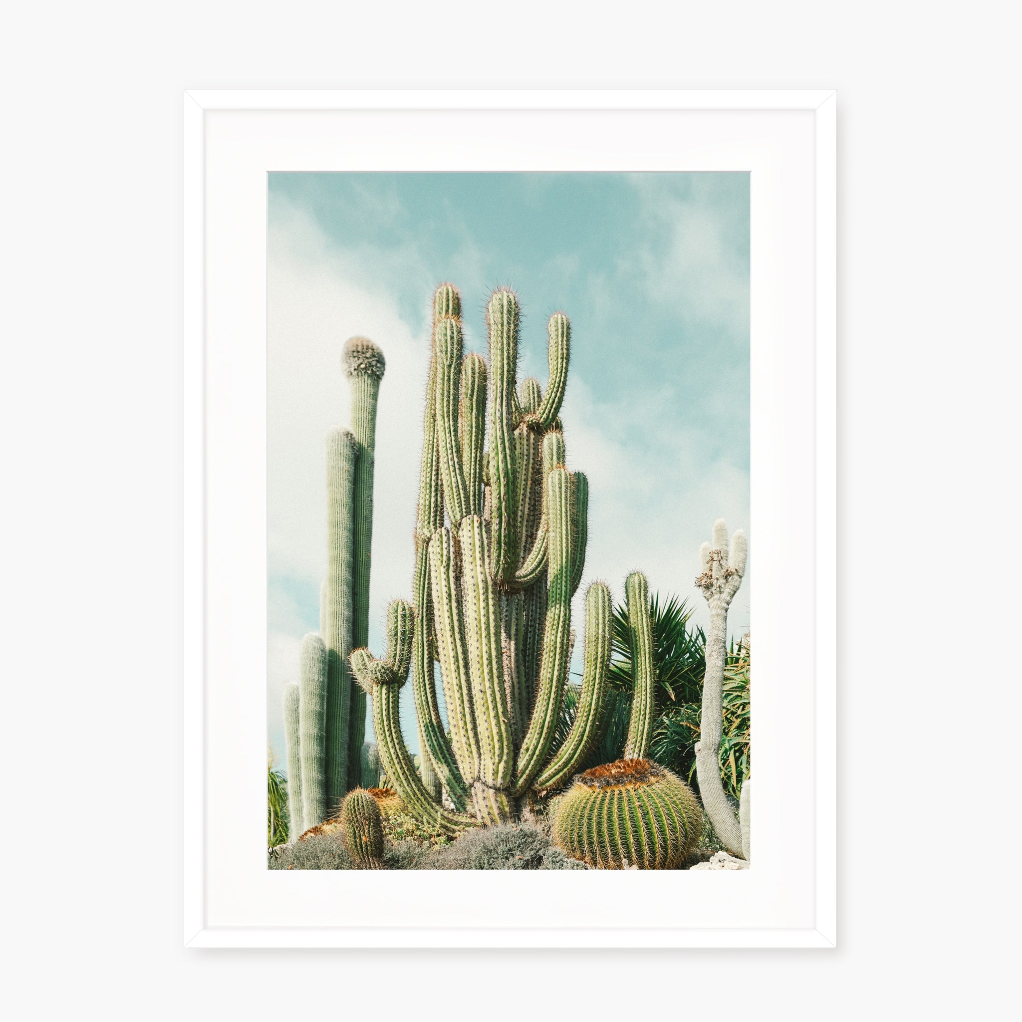 Jardin Exotique