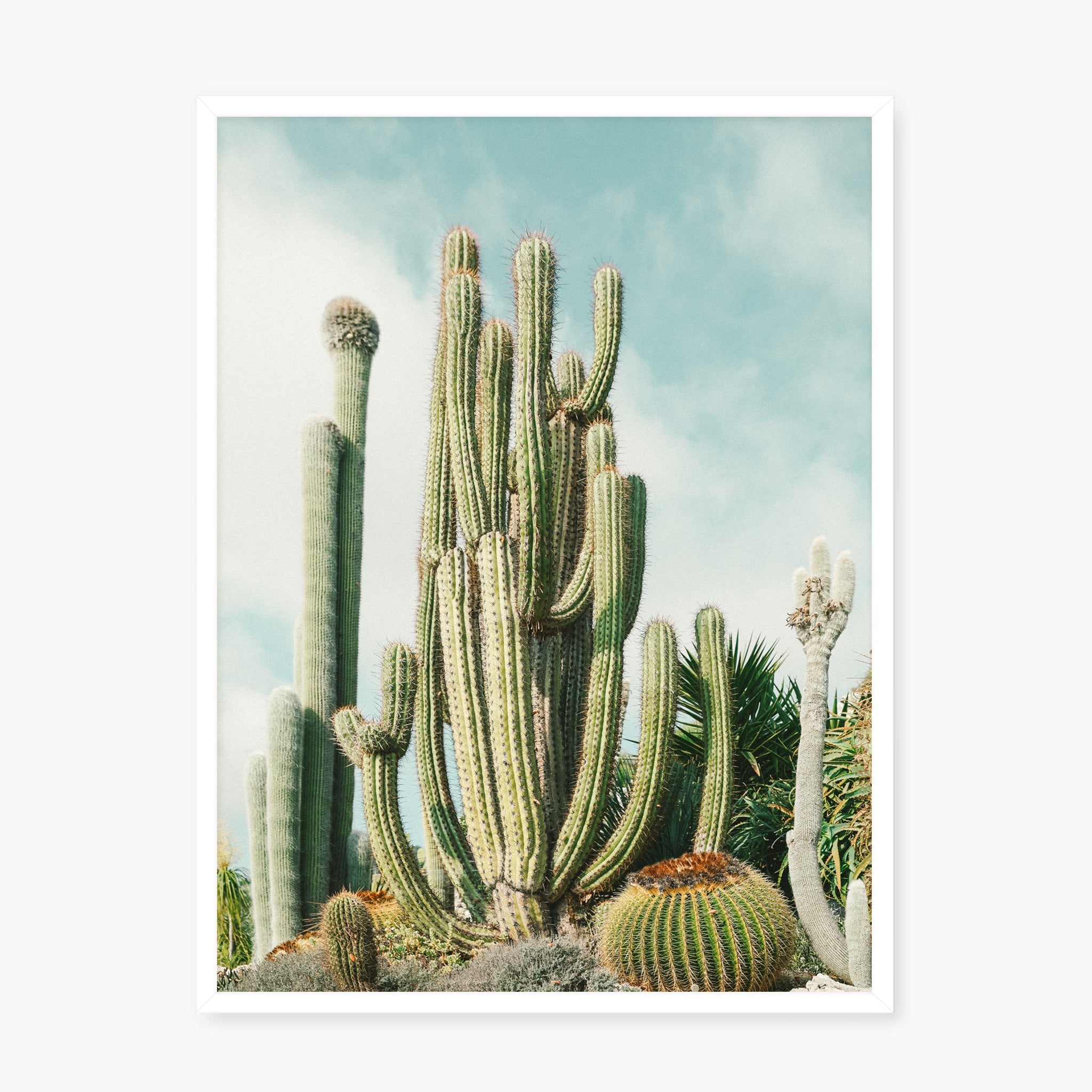 Jardin Exotique