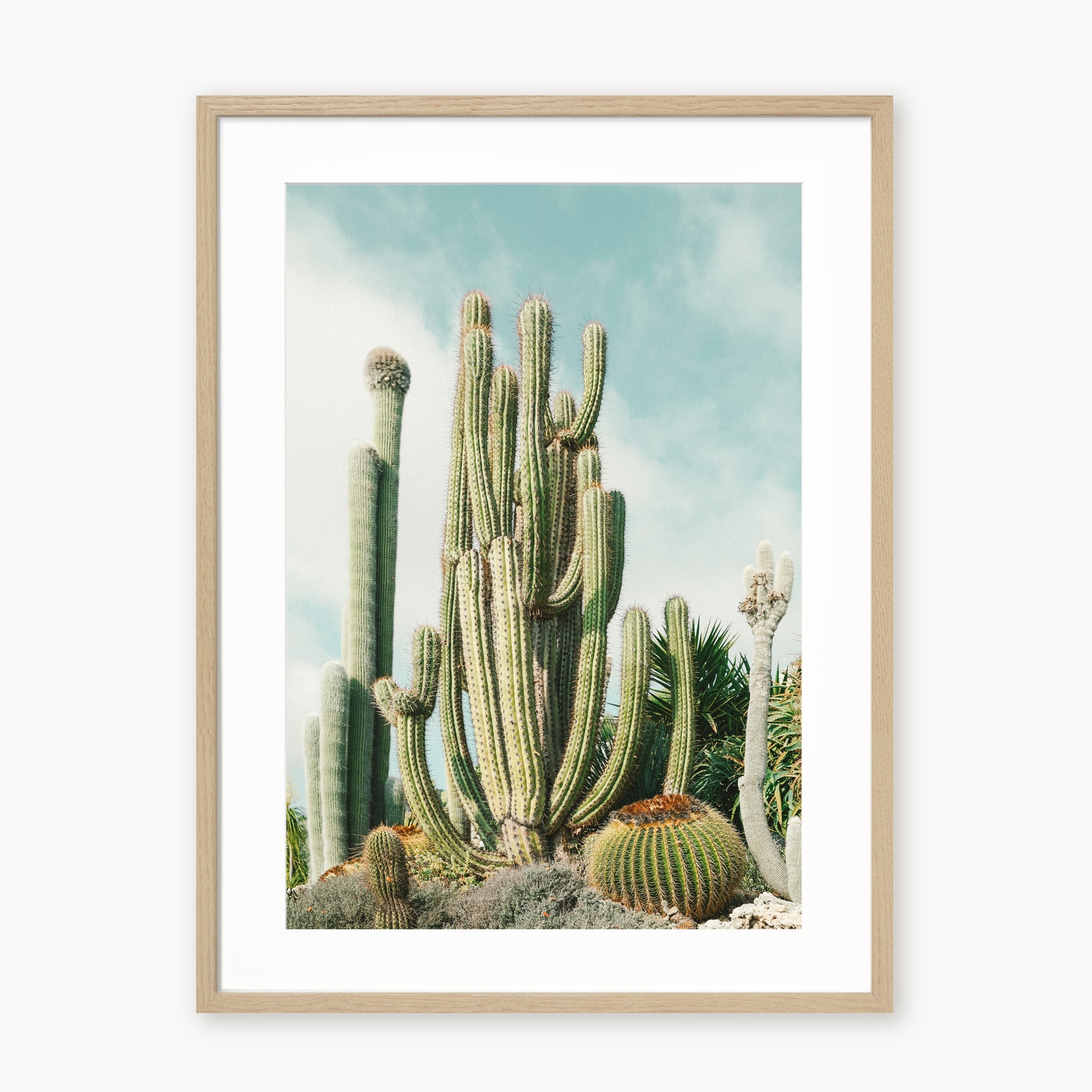 Jardin Exotique