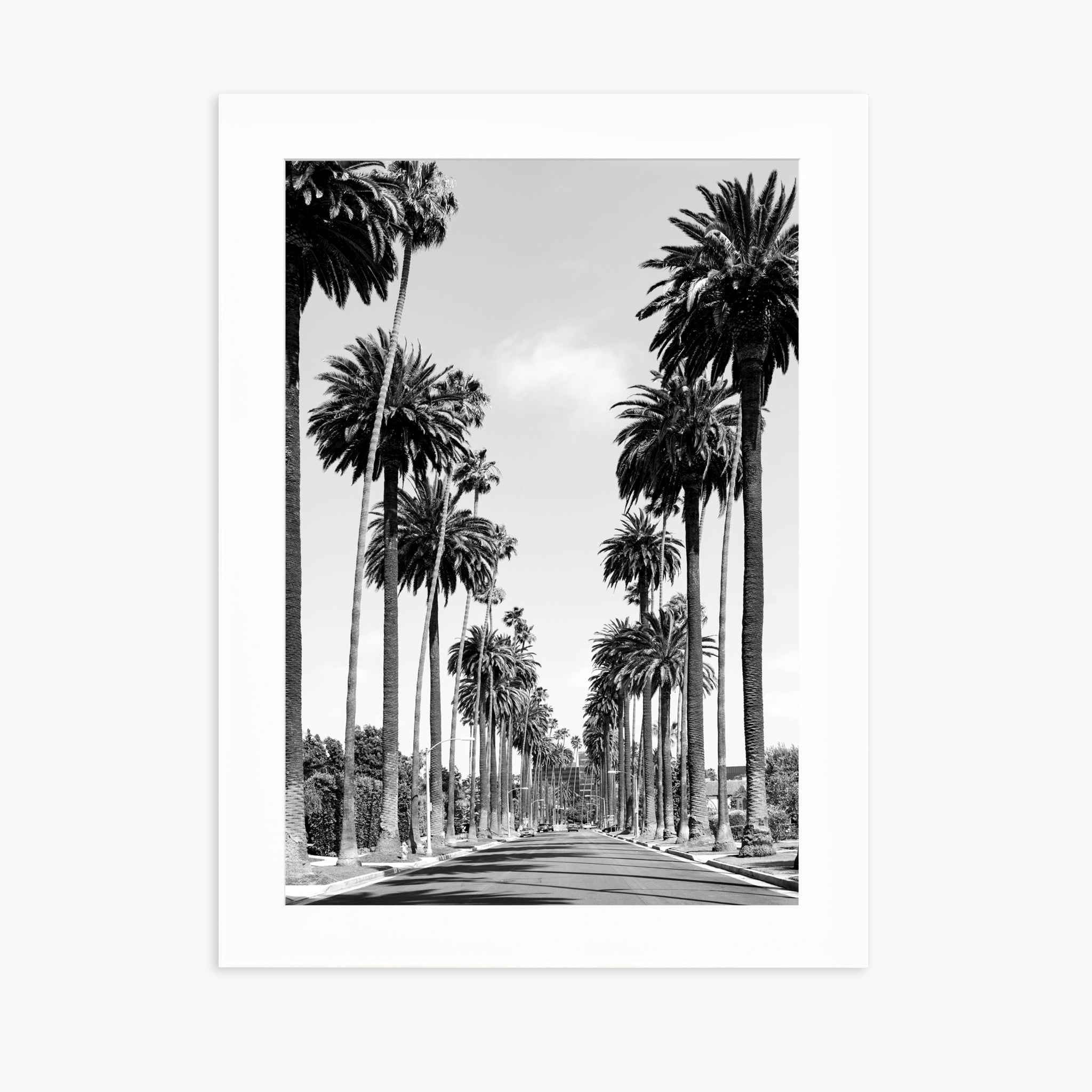 Palms of Beverly Hills
