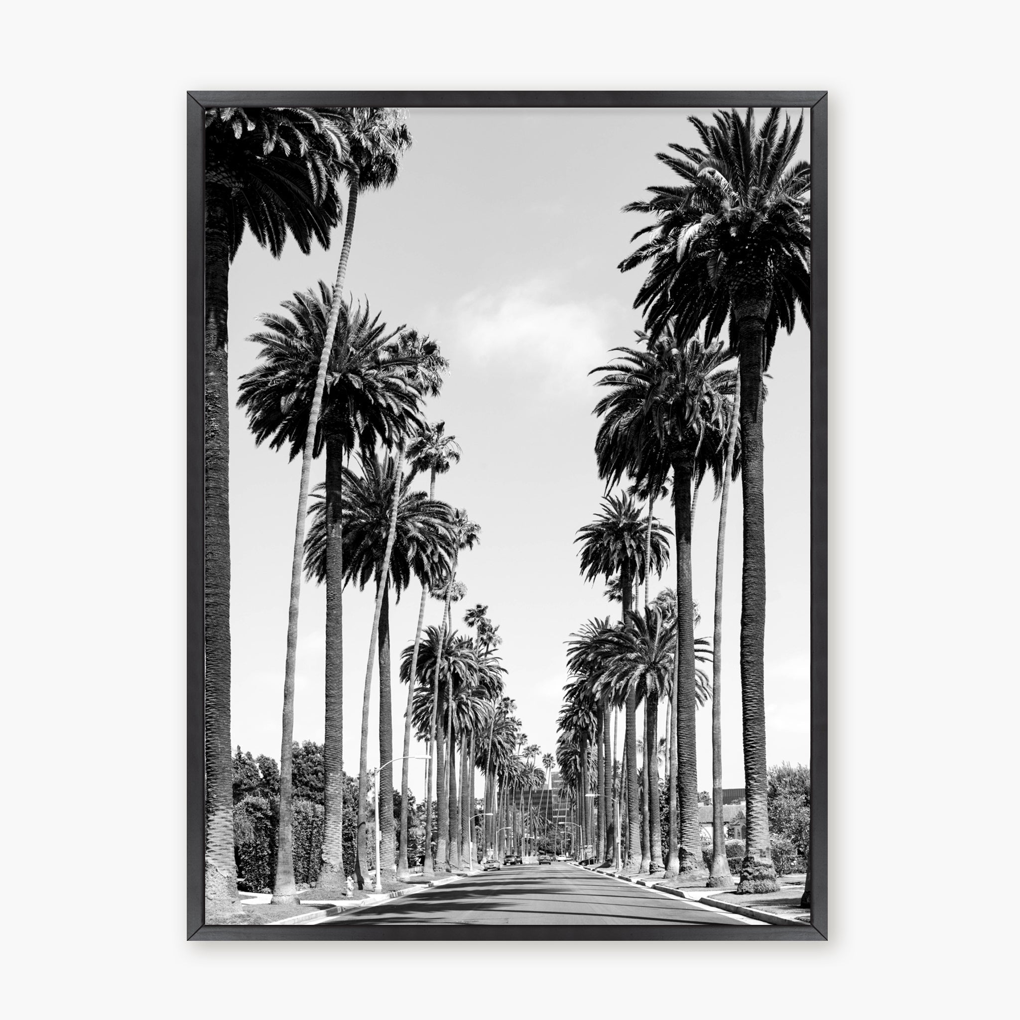 Palms of Beverly Hills
