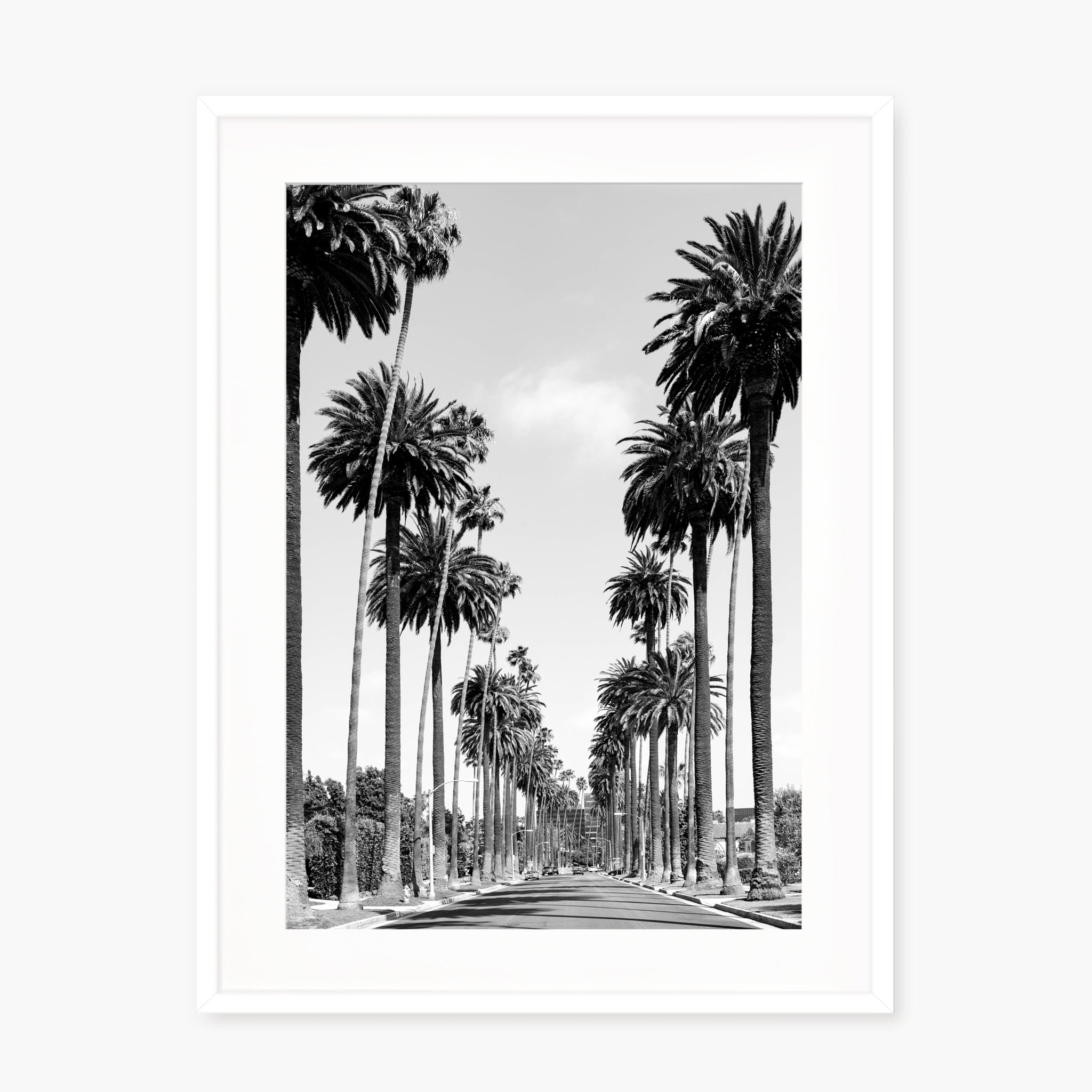 Palms of Beverly Hills