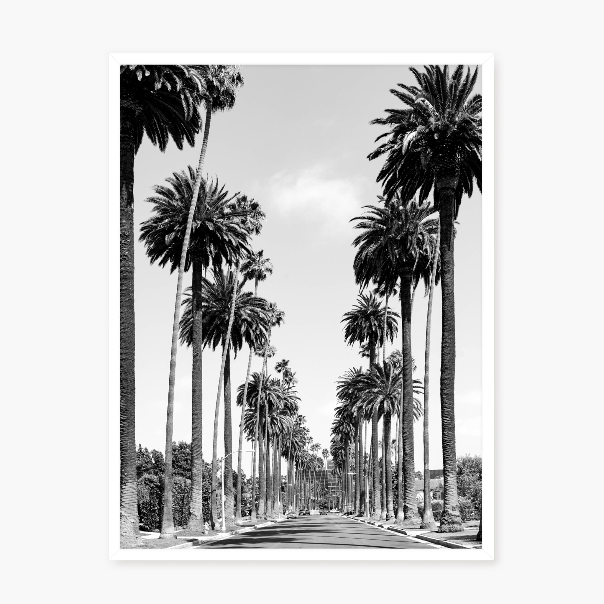 Palms of Beverly Hills