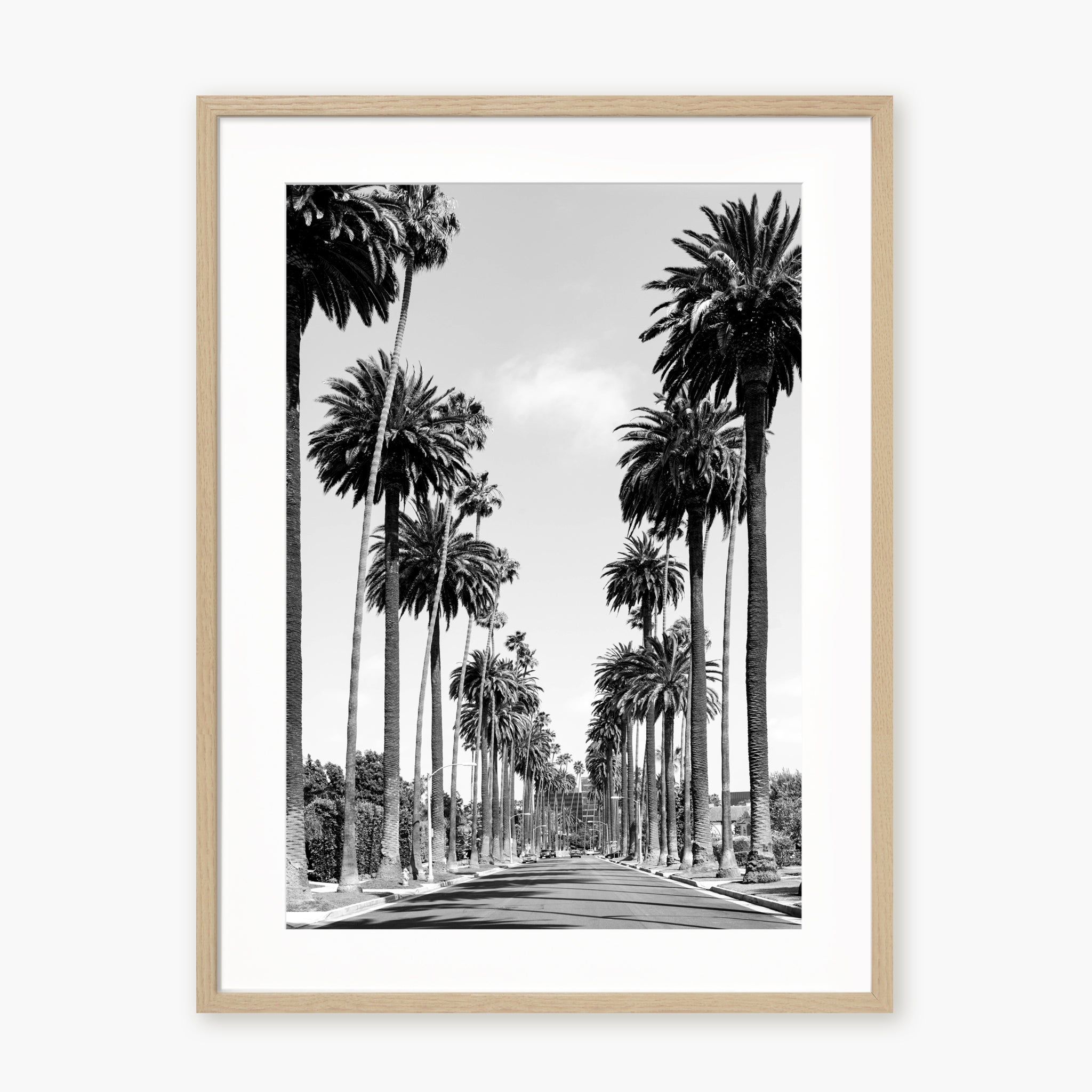 Palms of Beverly Hills