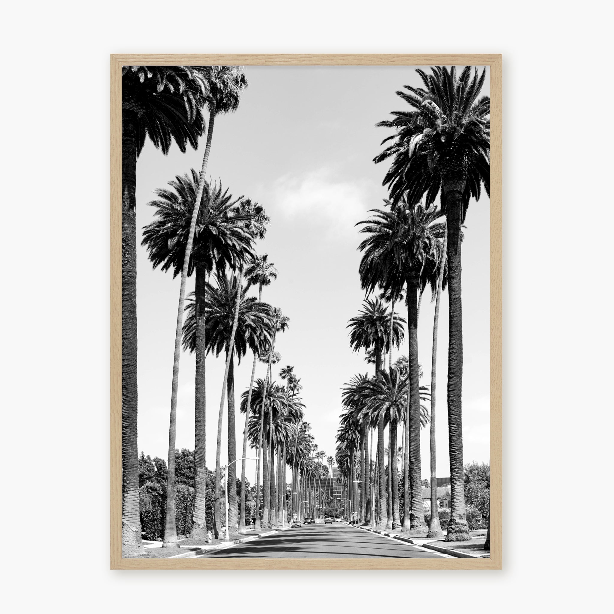 Palms of Beverly Hills