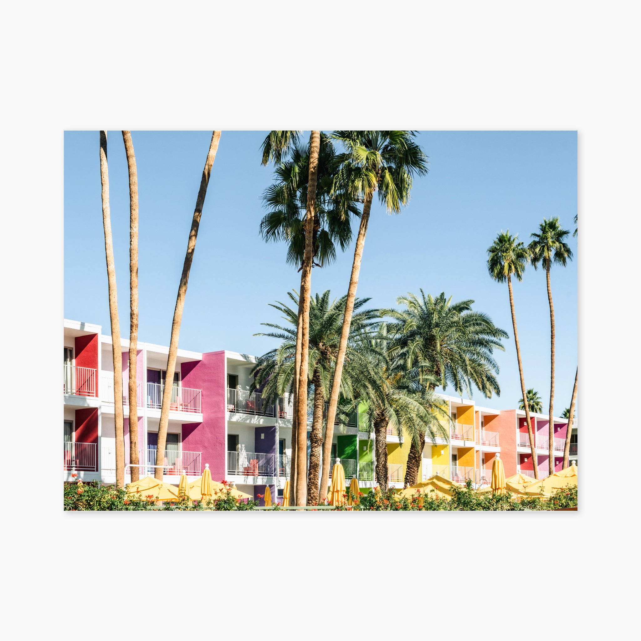 Palm Springs - Saguaro Hotel