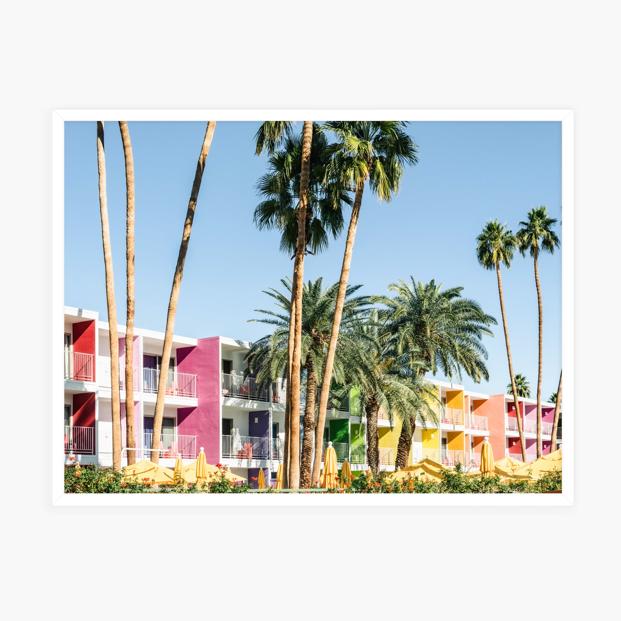 Palm Springs - Saguaro Hotel