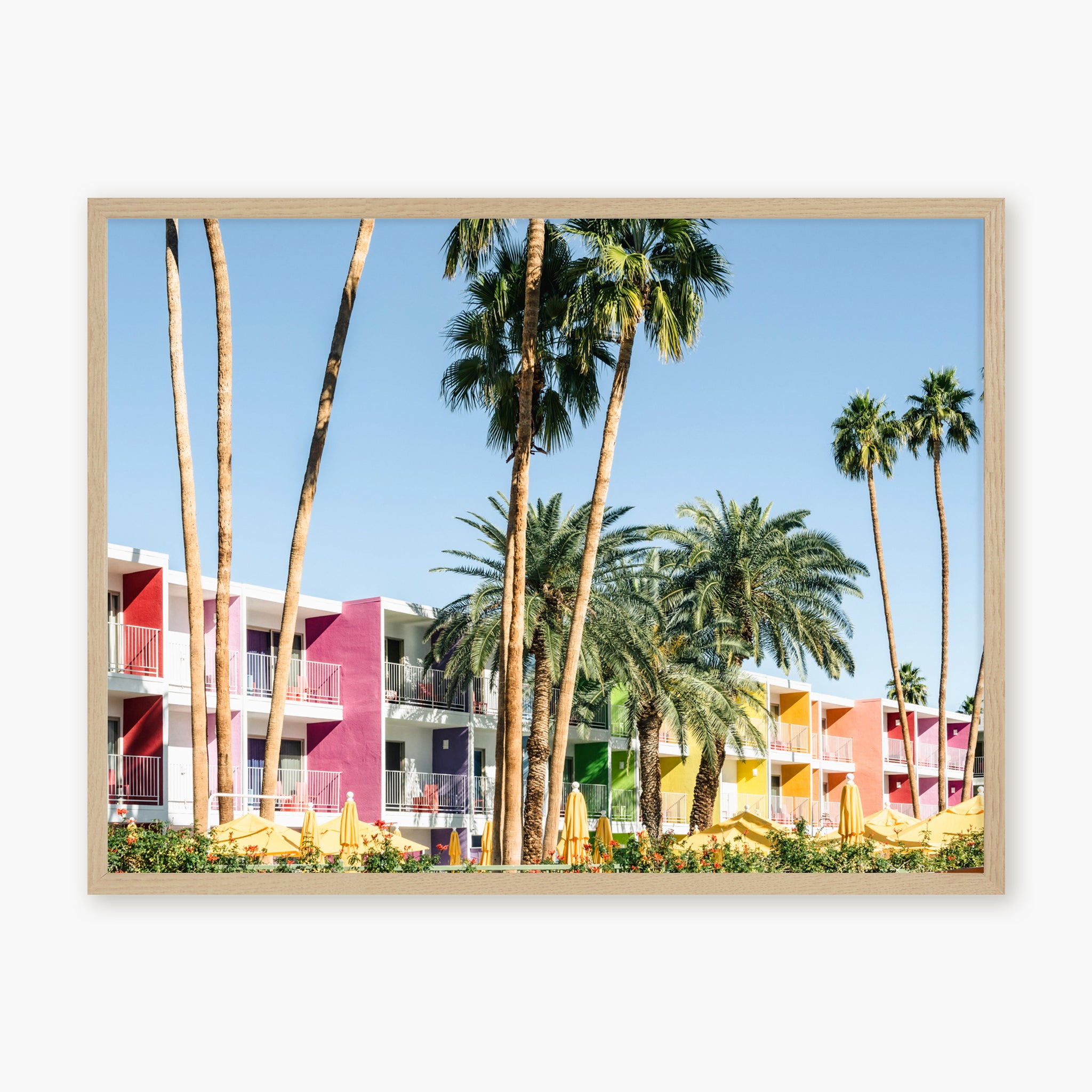 Palm Springs - Saguaro Hotel