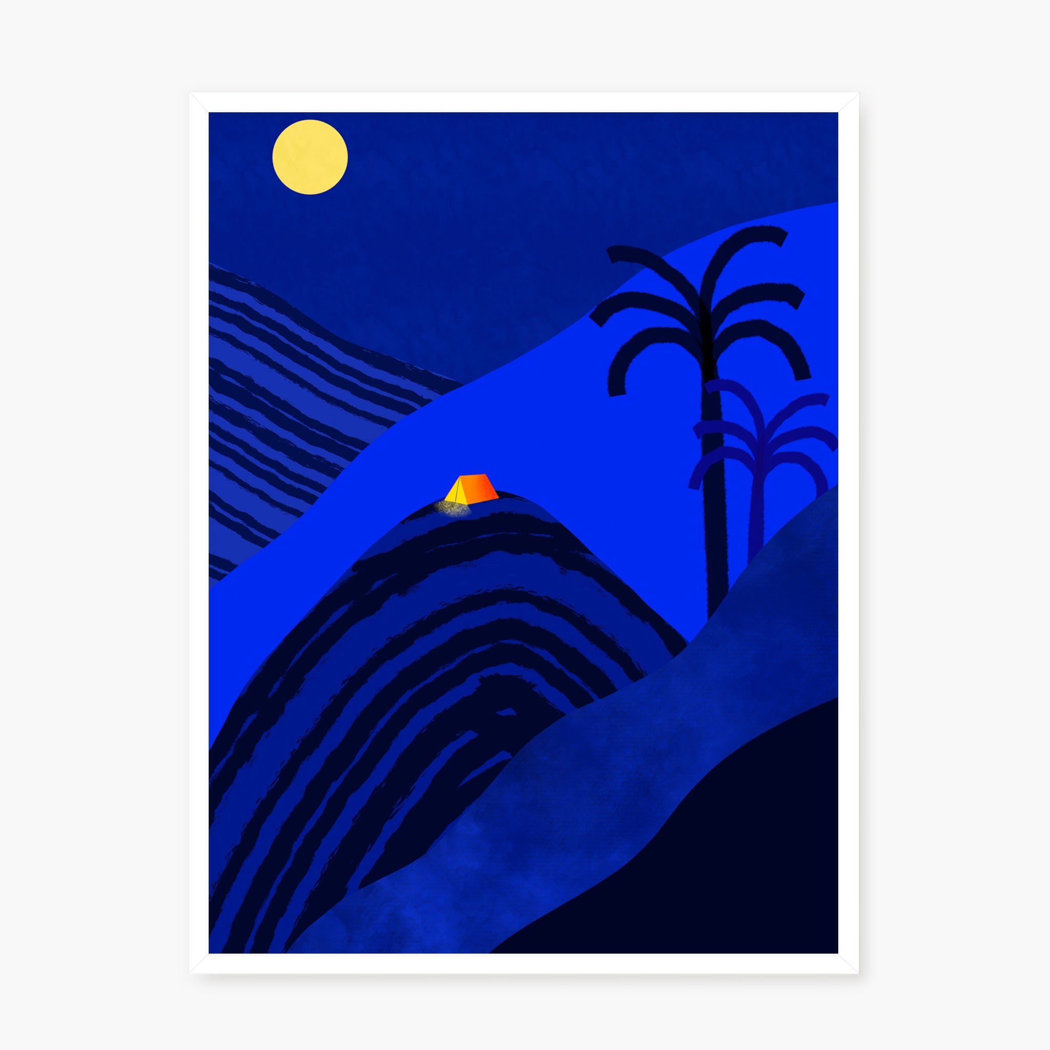 Dodo by night