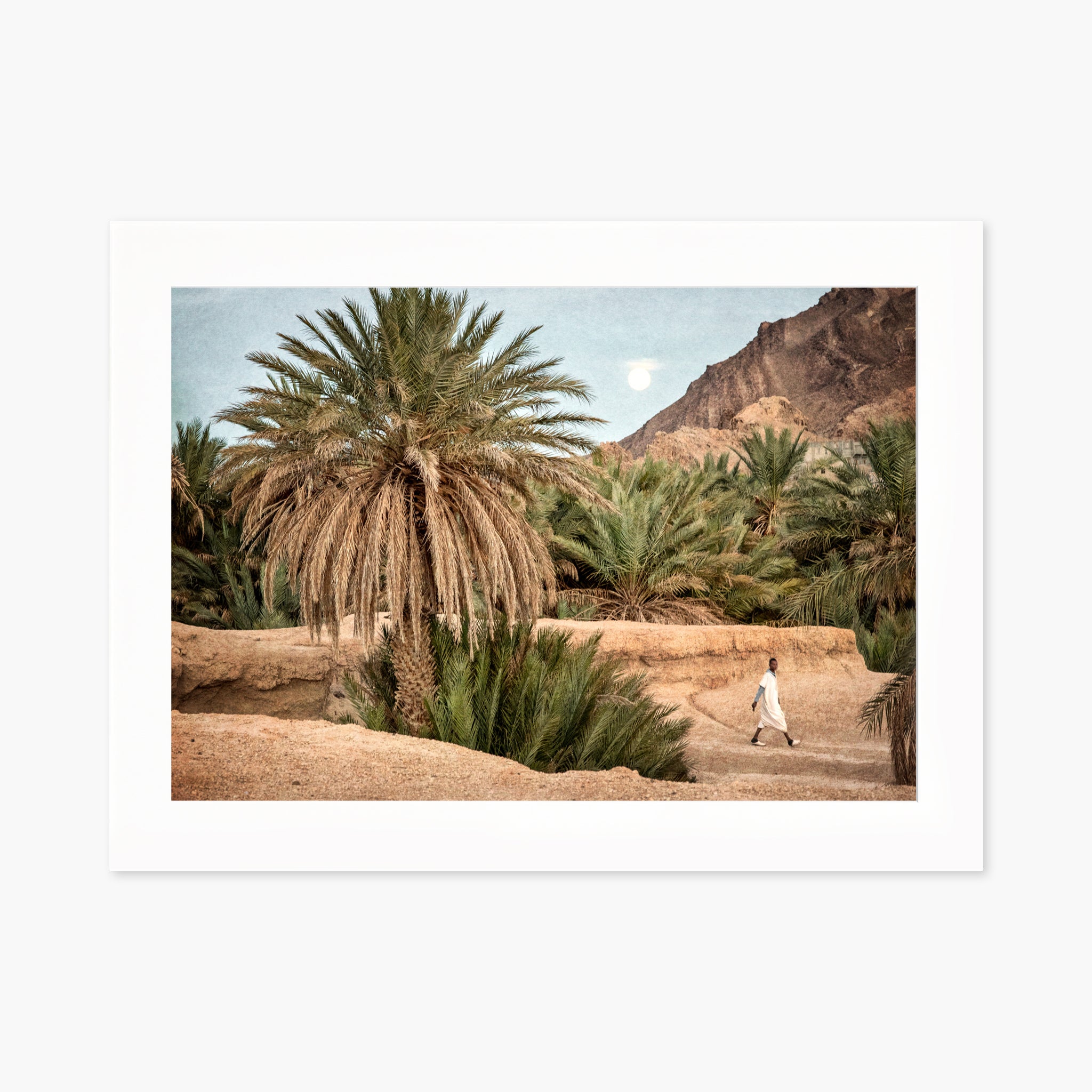 Moroccan Oasis