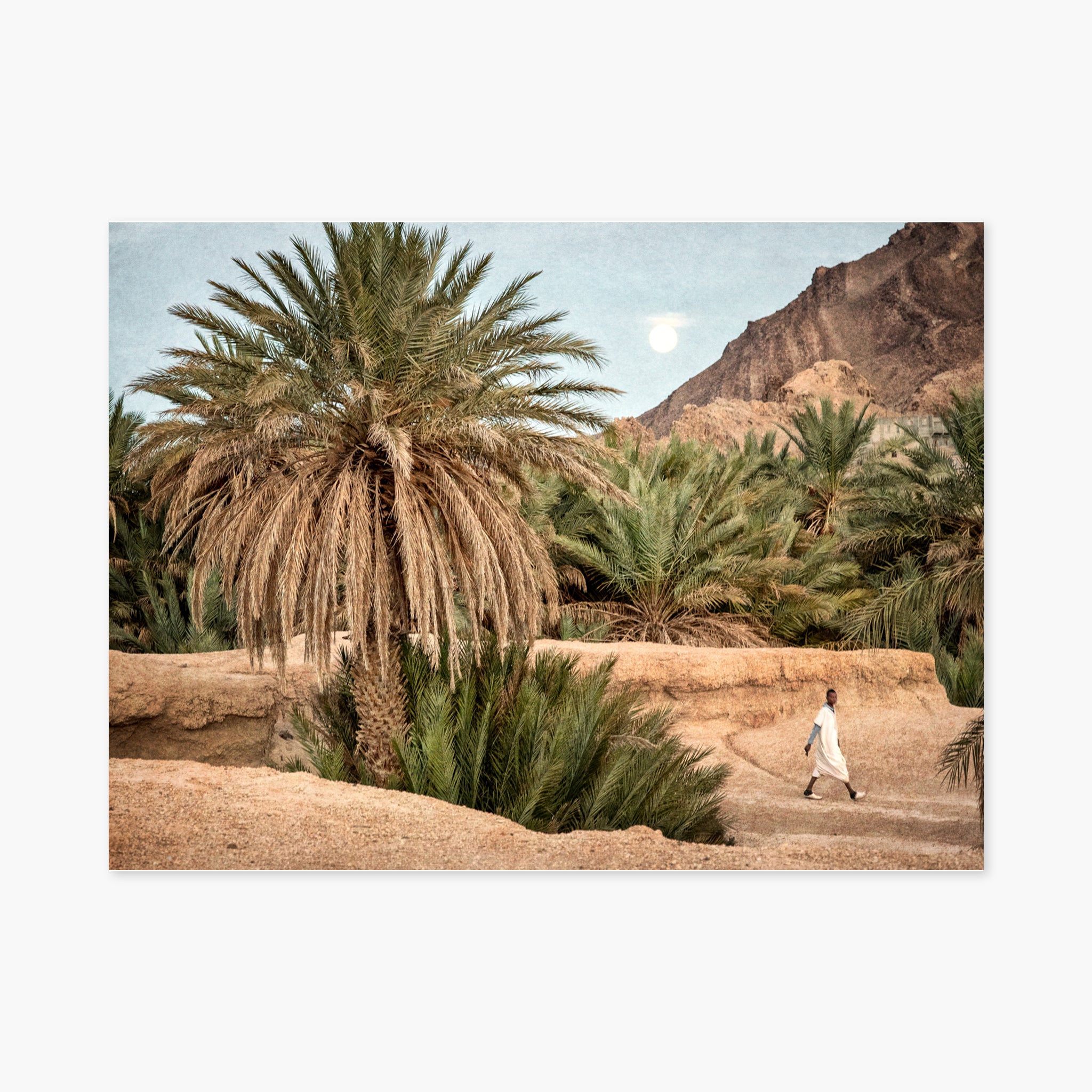 Moroccan Oasis