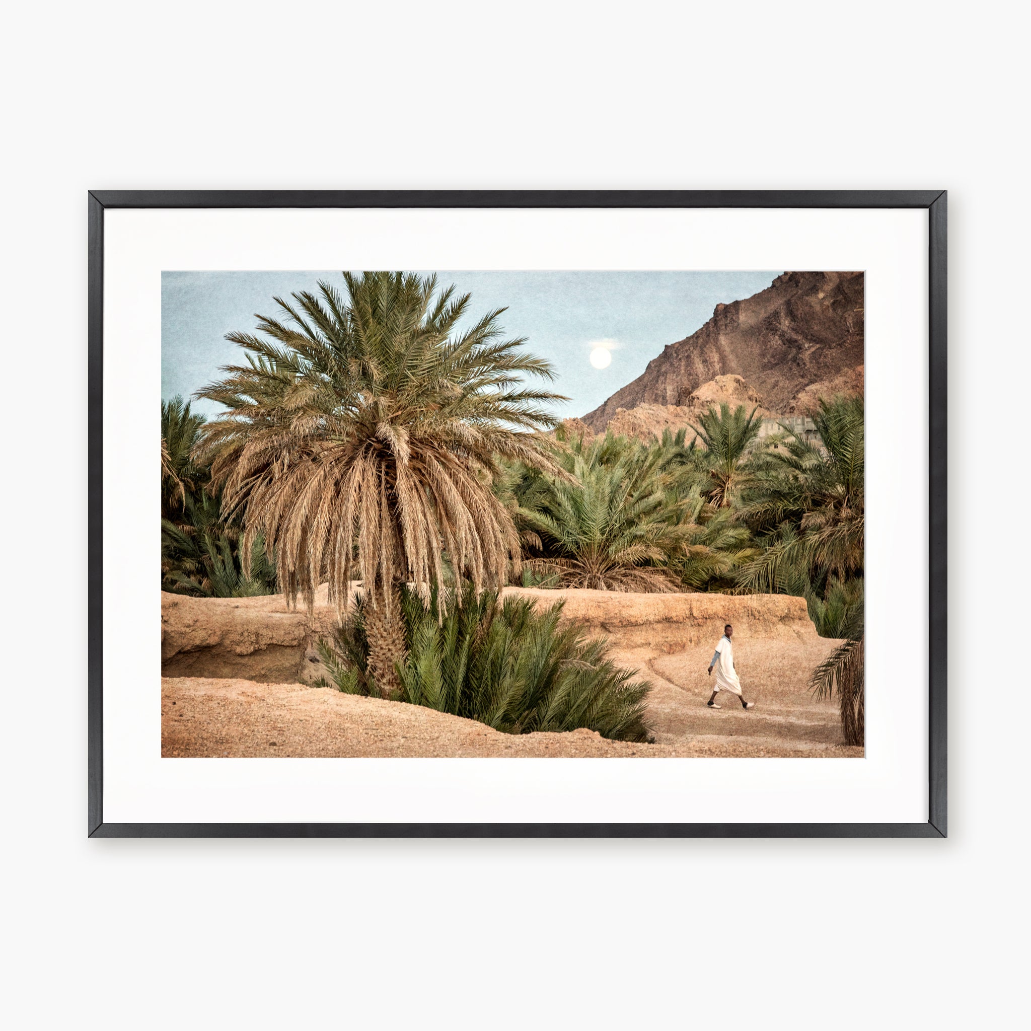 Moroccan Oasis