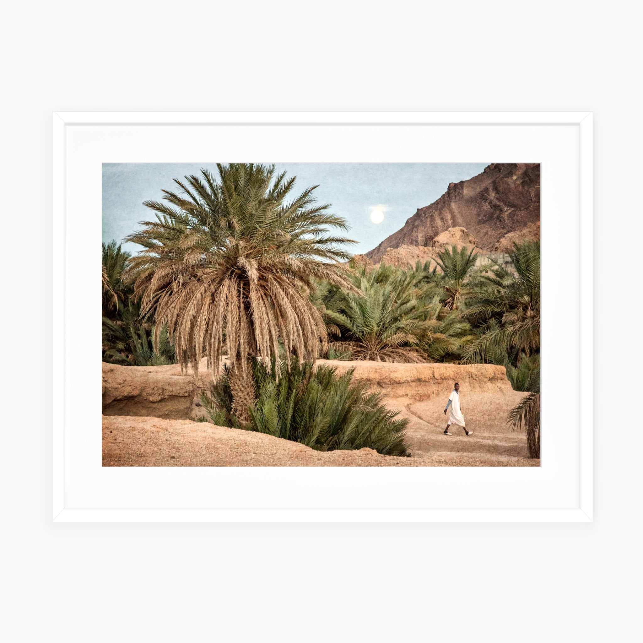 Moroccan Oasis