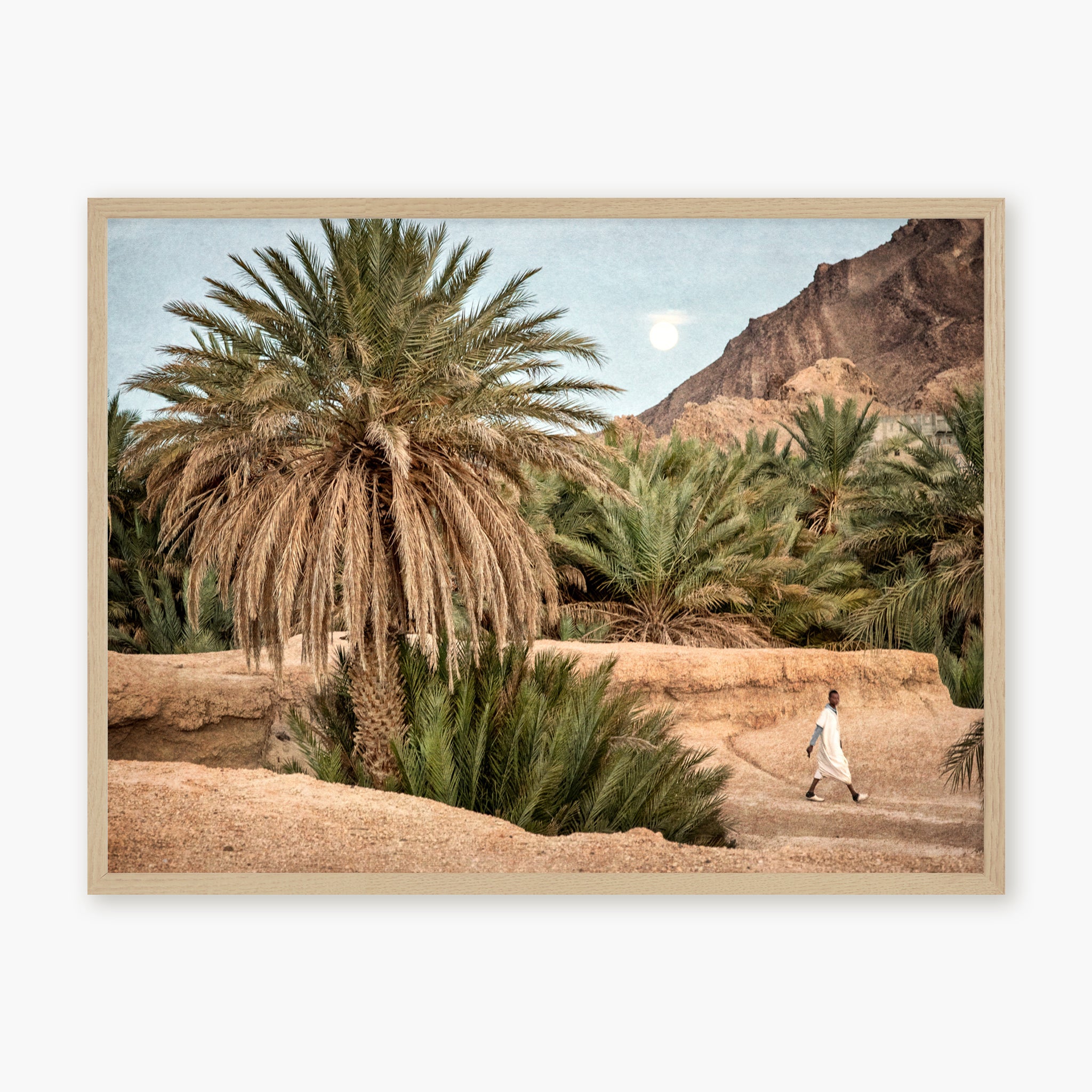 Moroccan Oasis