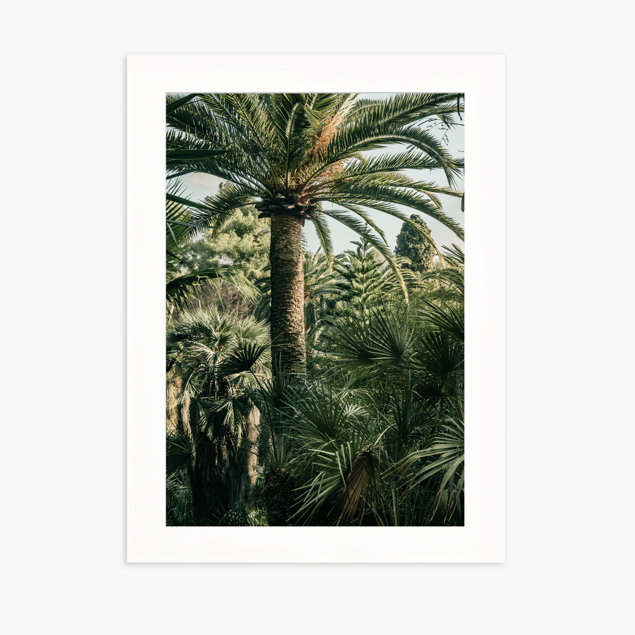 Jardin luxuriant